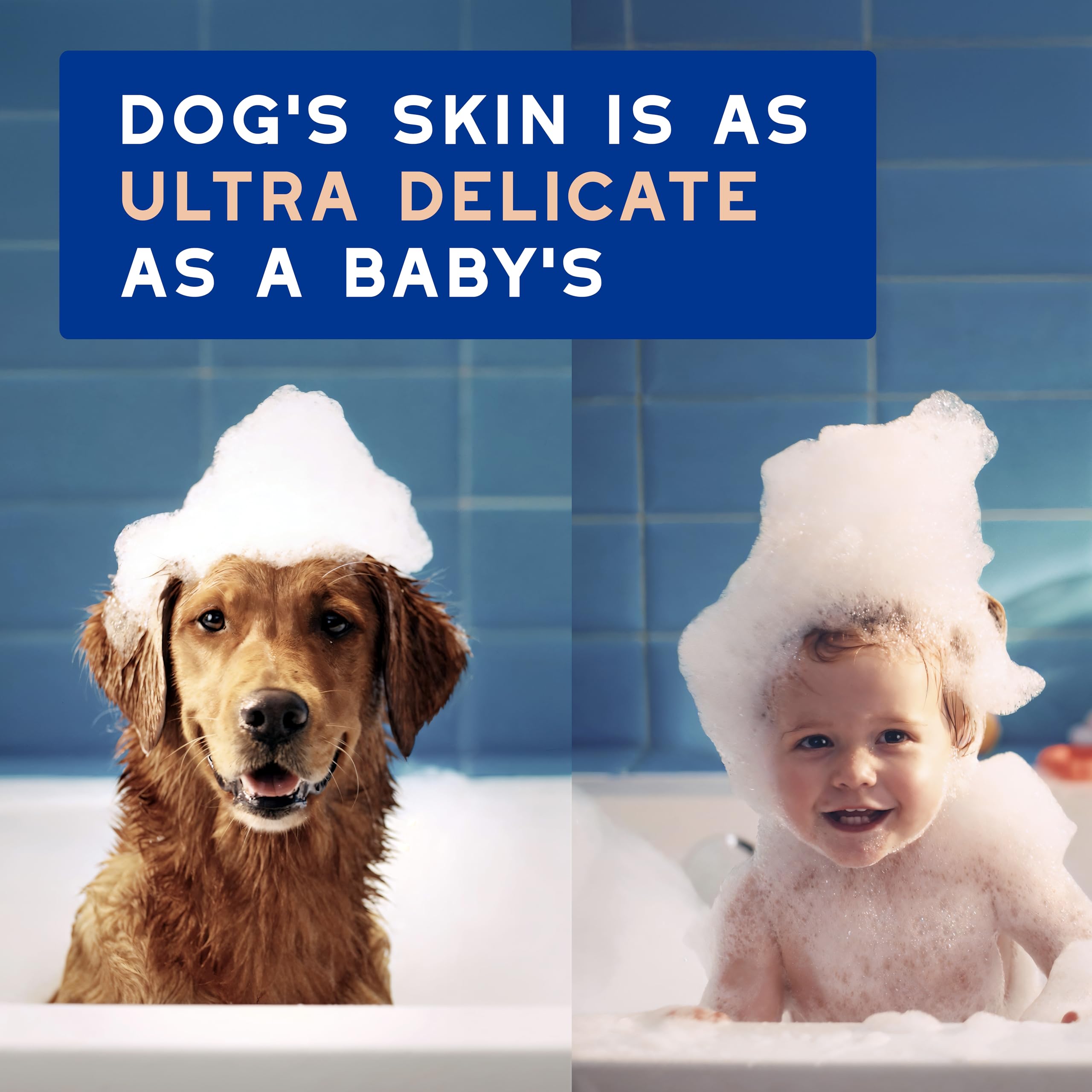 Douxo® Skin & Coat SPA Dog Shampoo, 16 fl oz - Reduces Shedding, Hydrates Skin, Softens Coat, Translucent, Model G90610B