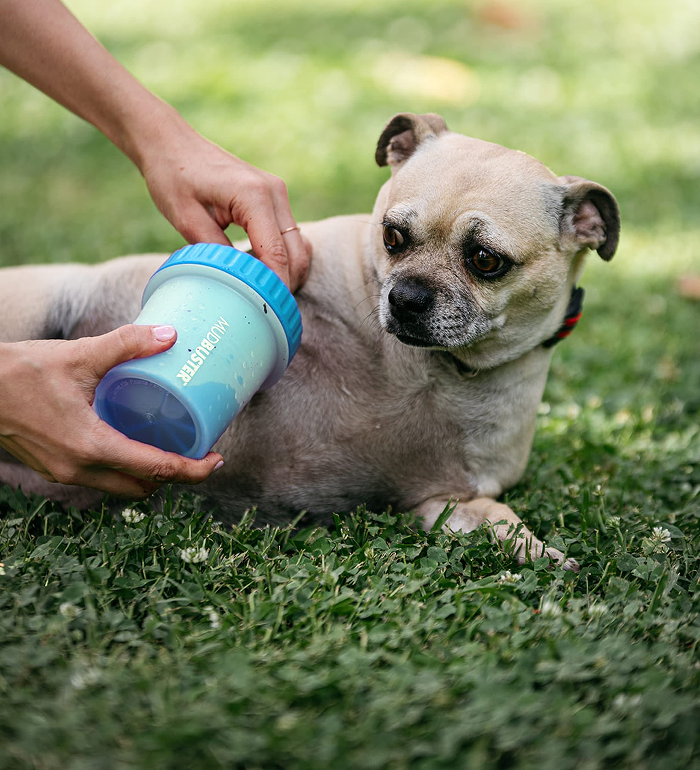 Dexas Mudbuster Portable Dog Paw Cleaner, Small, Blue,Pw700312