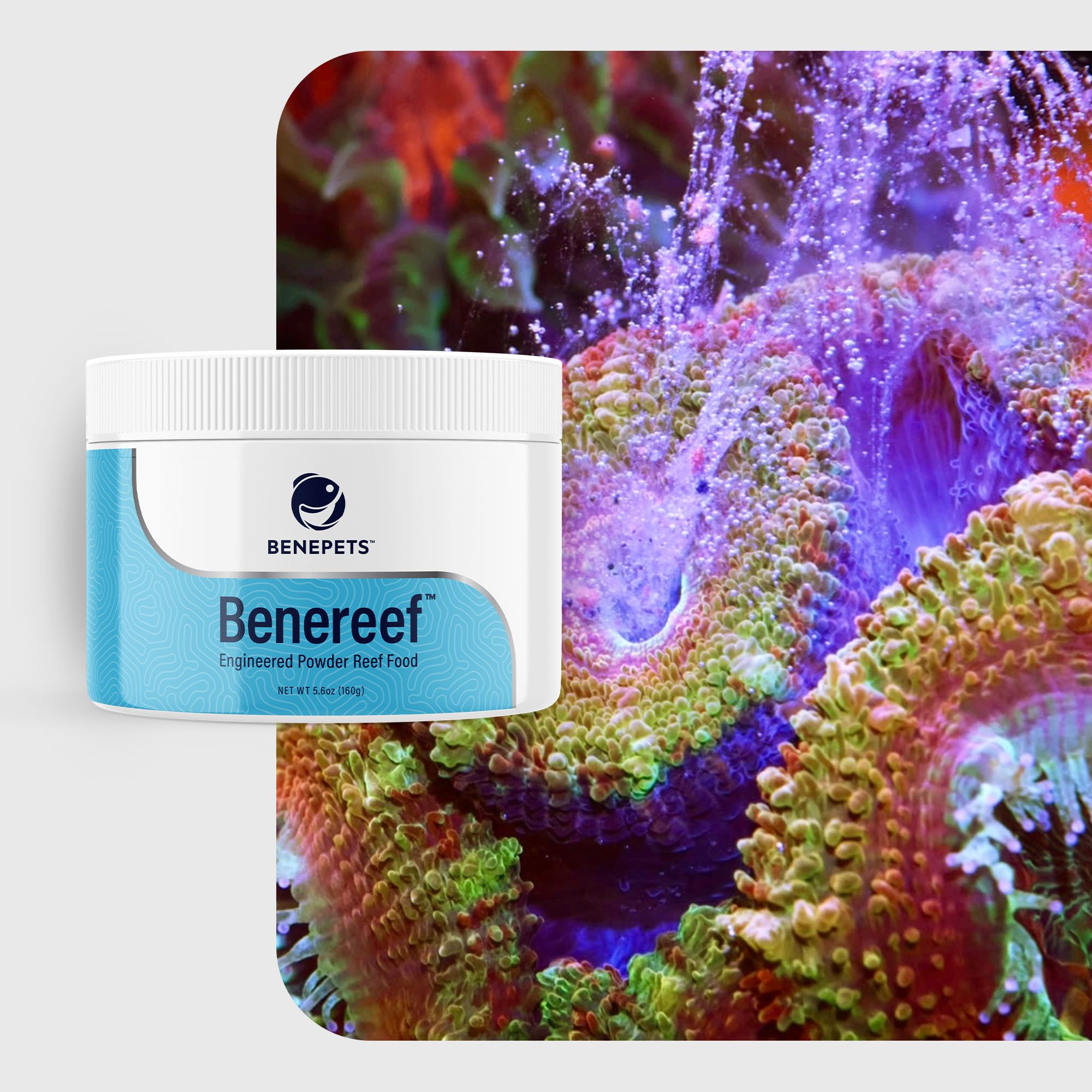 Benereef 160g Jar