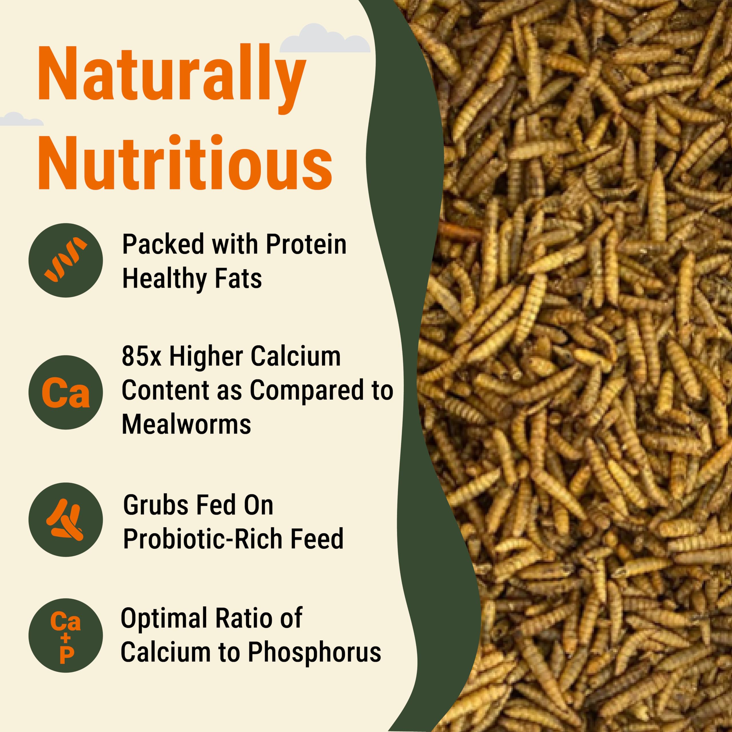 Supreme Grubs Natural Black Soldier Fly Larvae for Chickens, 85X More Calcium Than Mealworms-High Protein Grub Food Chicken Trea