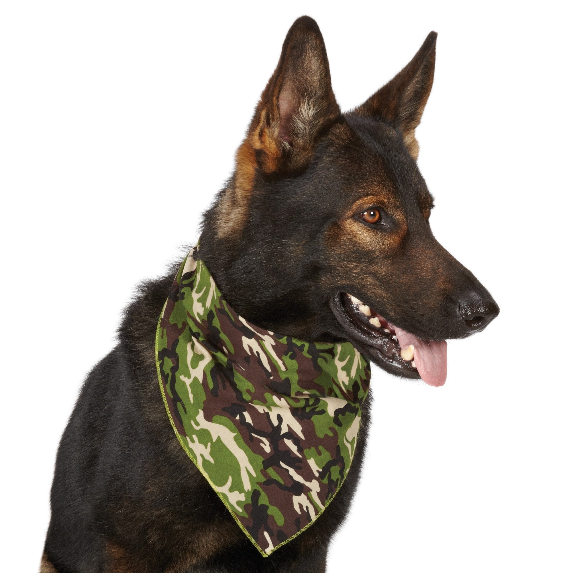 Aria Camouflage Dog Bandana, Green Camo