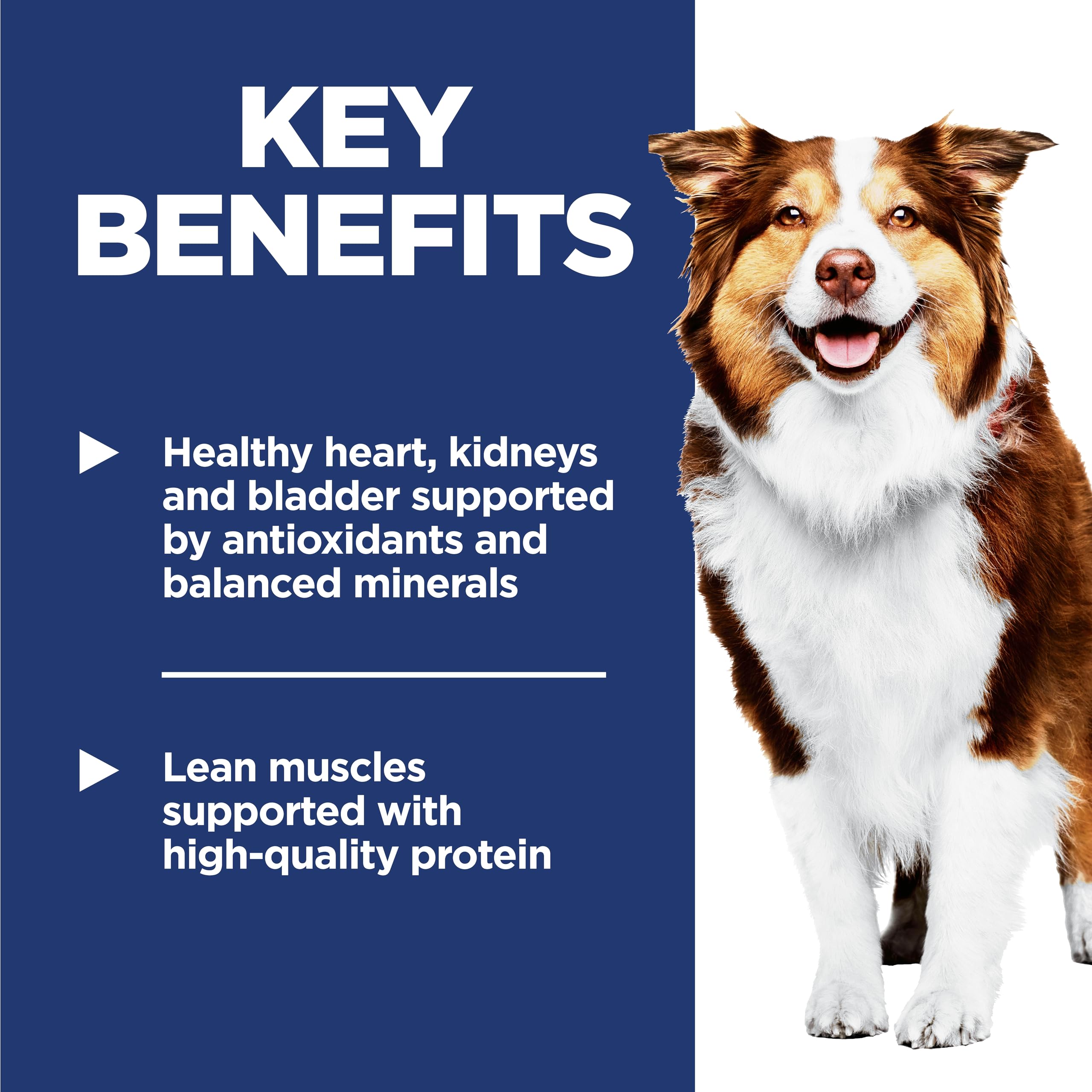 Hills Science Diet Senior 7+ Chicken Meal, Barley & Brown Rice Recipe Dry Dog Food, 15 lbs.