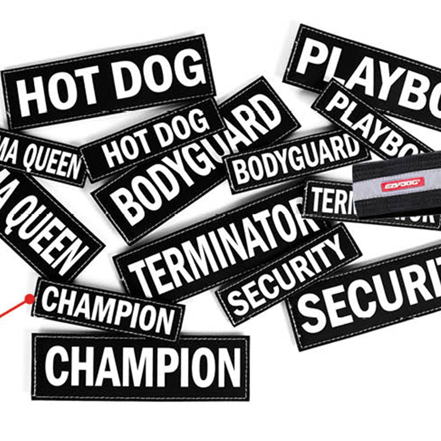 EzyDog Side Badge - Clearly Identifies Your Dog When Wearing The Convert Dog Harness - Set of Two Badges (in Training, Large)