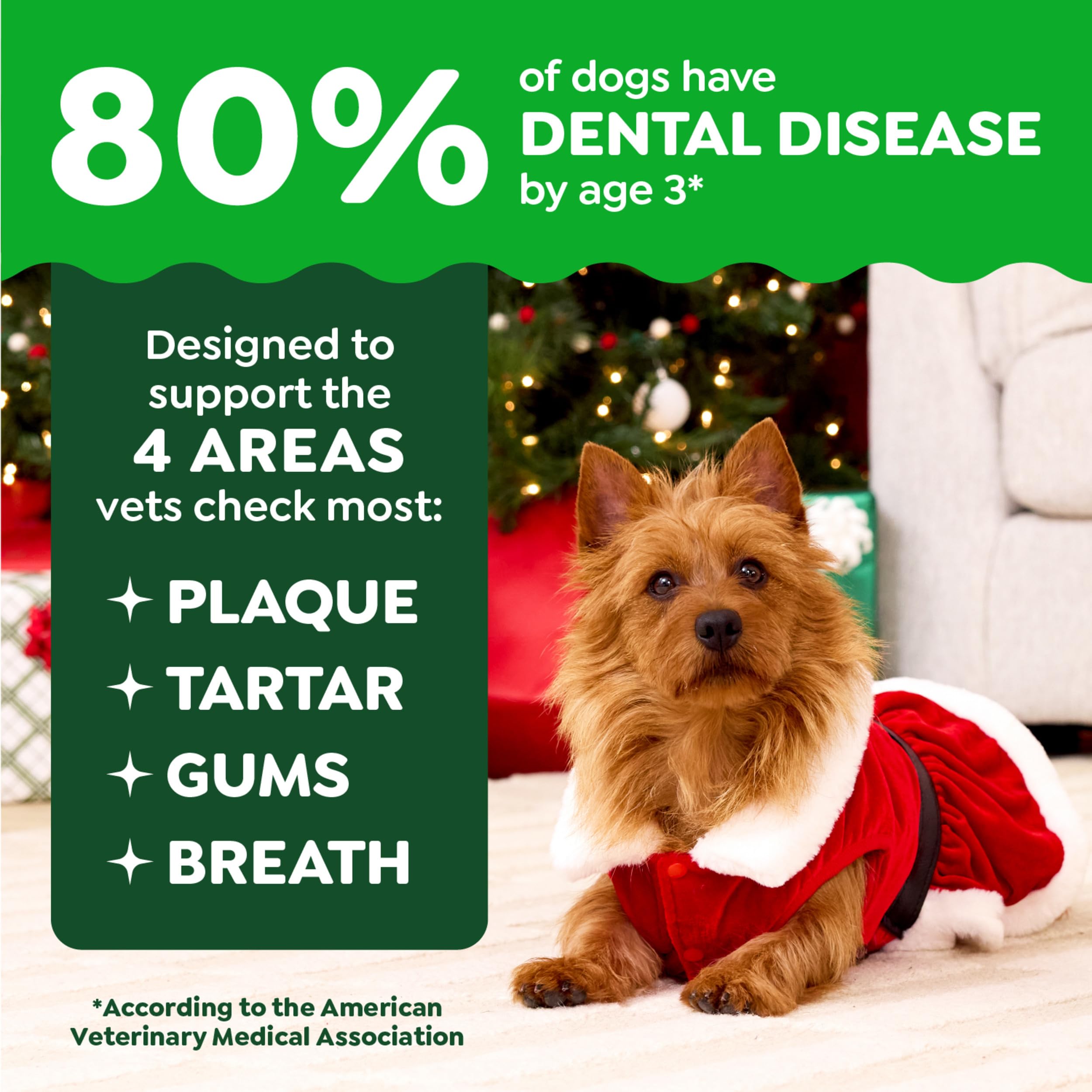 Greenies Regular Dental Dog Treats, Gingerbread Flavor, Limited Edition, 12 oz. Pack (12 Treats)