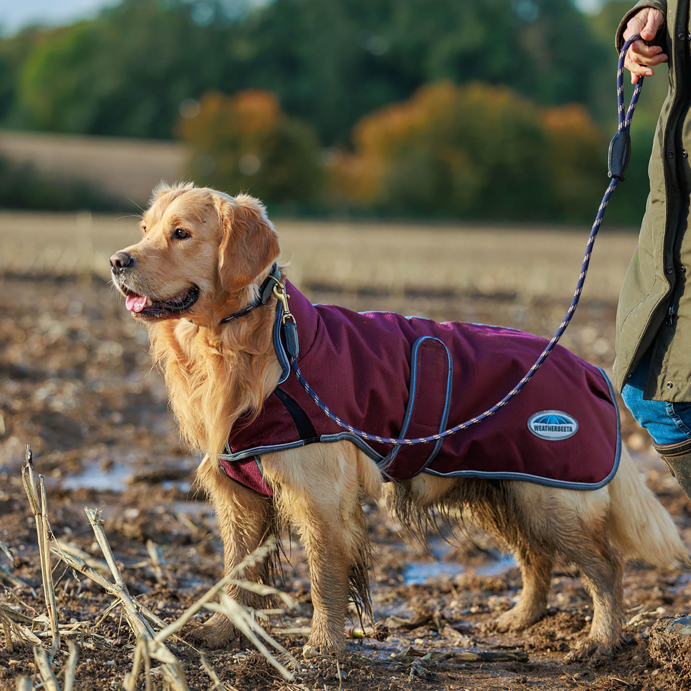 Weatherbeeta Comfitec Premier Free Parka Deluxe Dog Coat Medium, Maroon/Grey/White, 26''