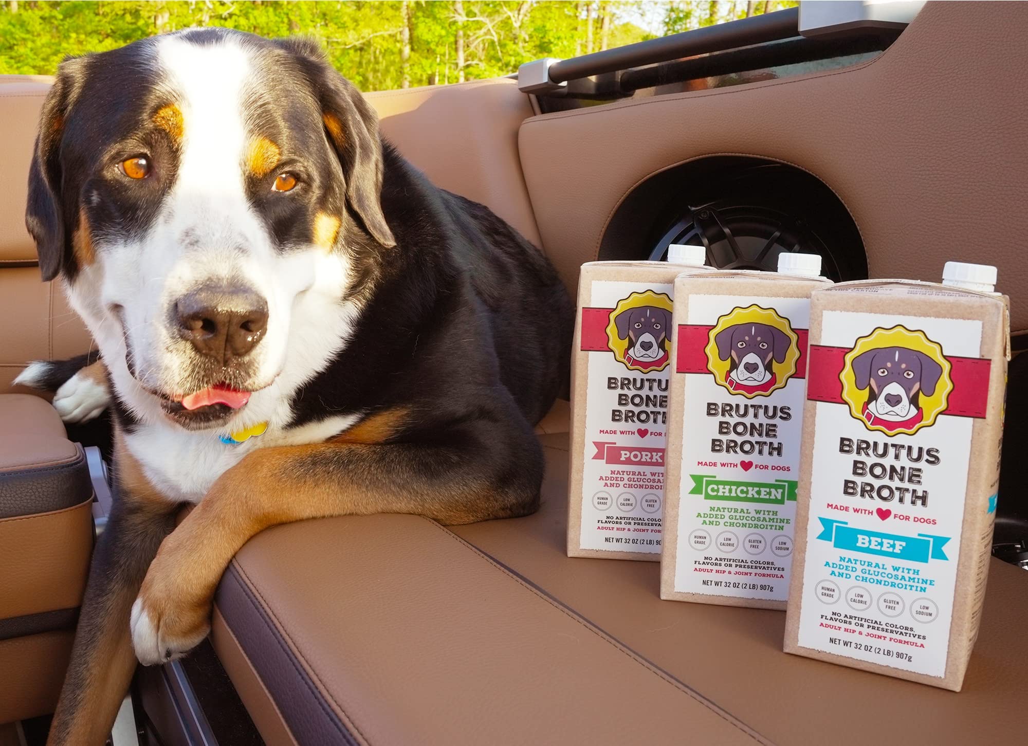 Brutus Chicken Broth for Dogs - All Natural Chicken Bone Broth with Chondroitin Glucosamine Turmeric -Human Grade Food Toppers f