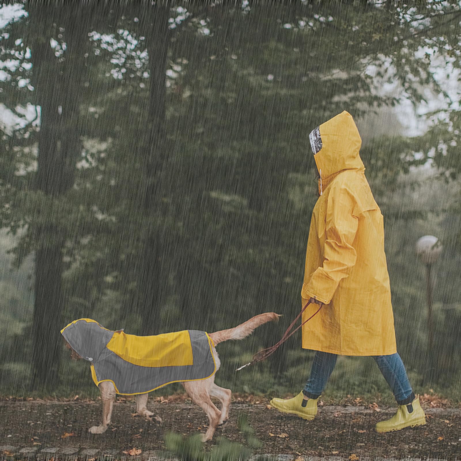 Iecoii Hooded Dog Raincoat,Reflective Large Dog Rain Poncho,Ensure Safety In Low - Light Conditions, Adjustable Fit With Magic S