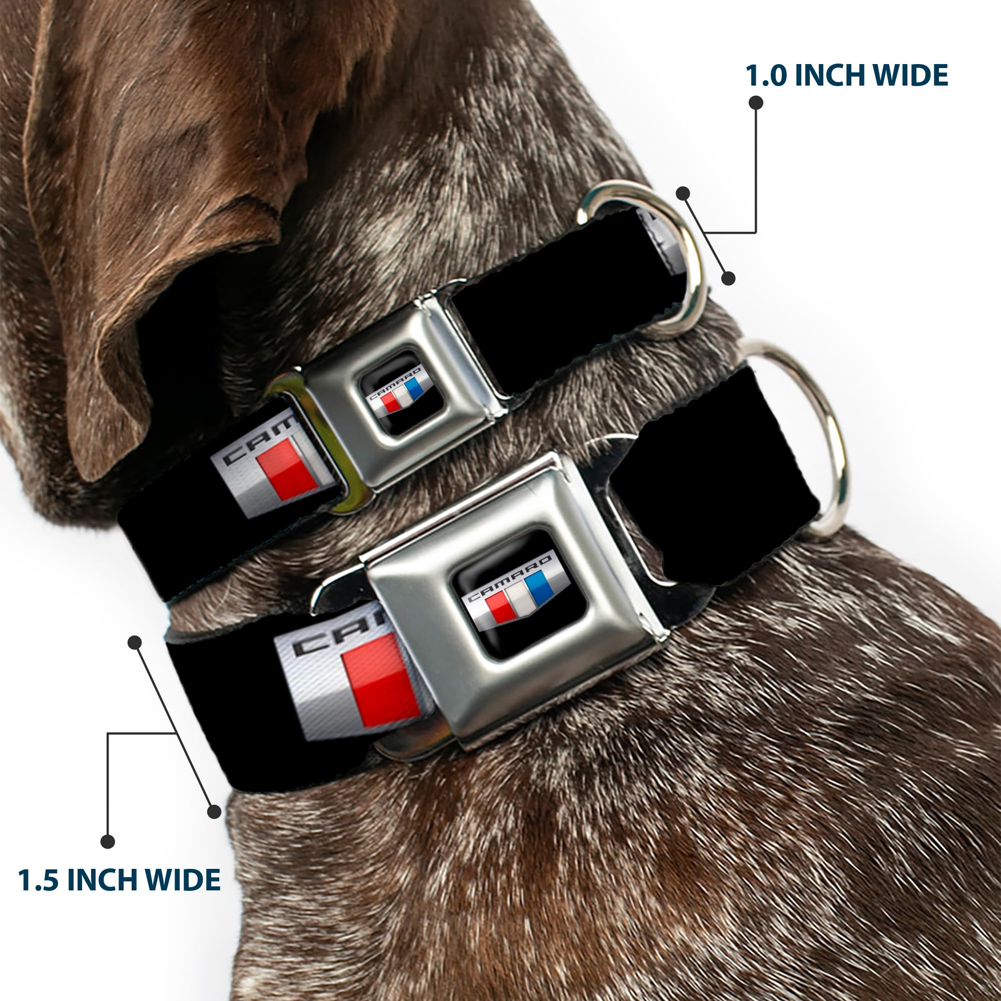 Buckle-Down Seatbelt Buckle Dog Collar - Camaro Six Badge Black/Silver/Red/White/Blue - 1.5'' Wide - Fits 16-23'' Neck - Medium