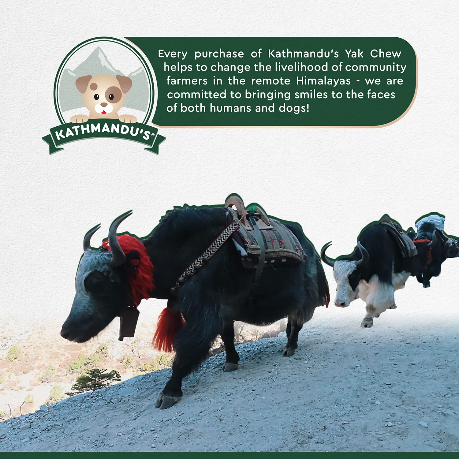 KATHMANDUS Authentic Himalayan Cheese Yak Chew, Contains Two Large Chews, Handcrafted for Dogs Under 55 pounds, Ideal for impro