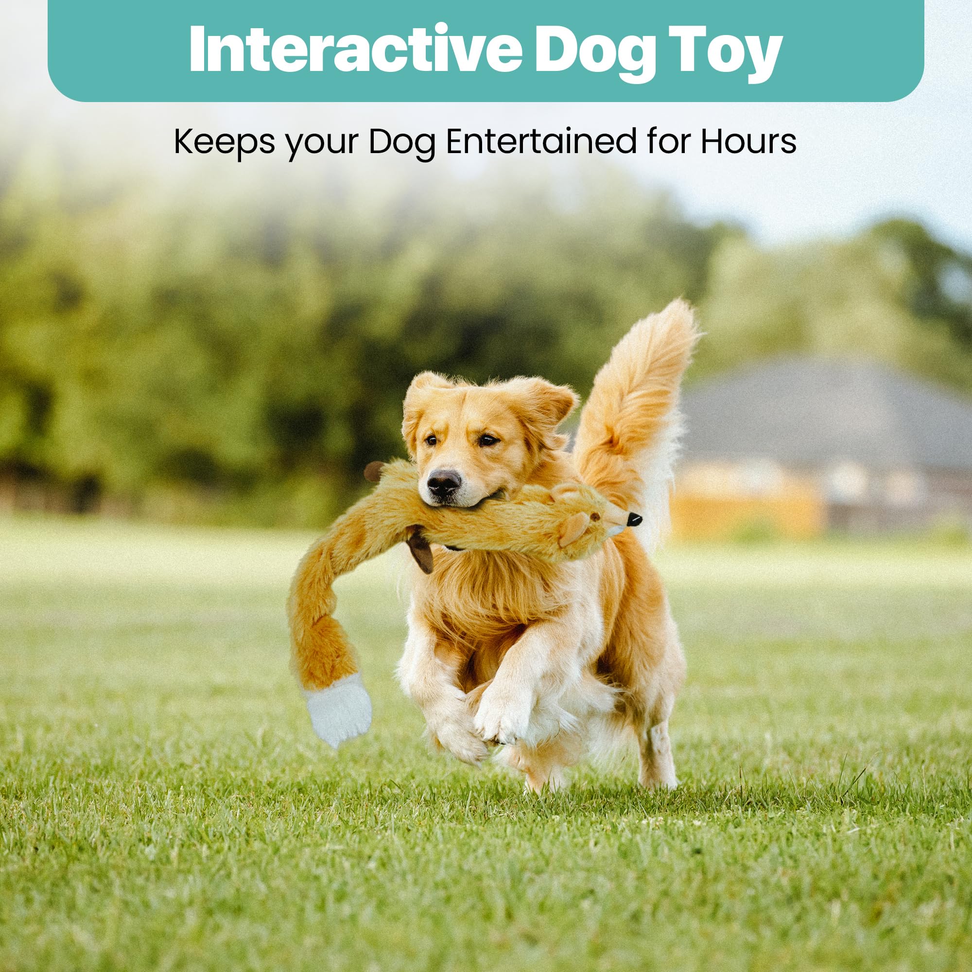 Ethical Pets Mini Skinneeez Extreme Stuffingless Dog Toy Bundle: Chipmunk, Raccoon And Fox3
