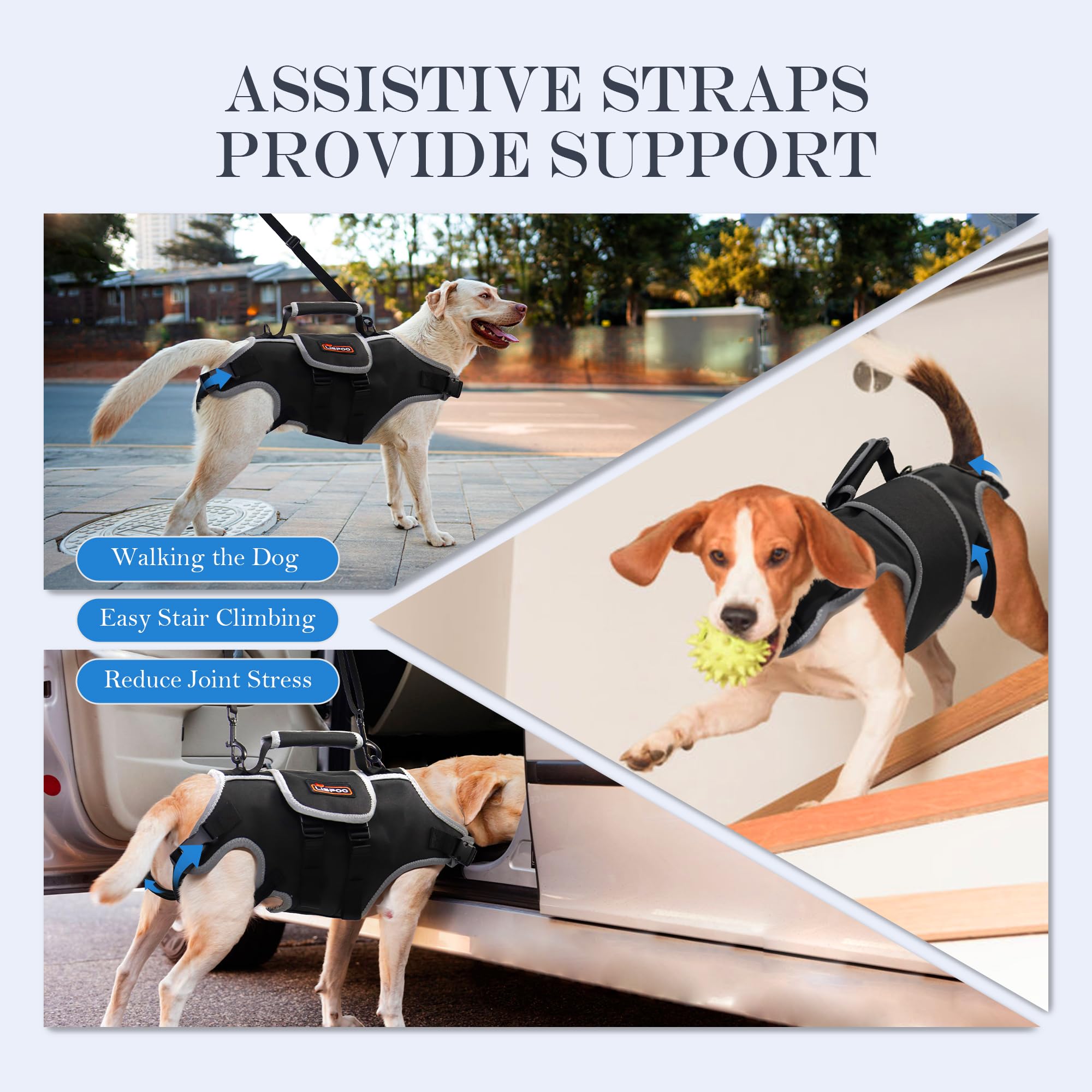 Dog Lift Harness, Full Body Support with Adjustable Control Handle & Reflective Straps for Medium Senior Dogs, Post-Surgery Reco