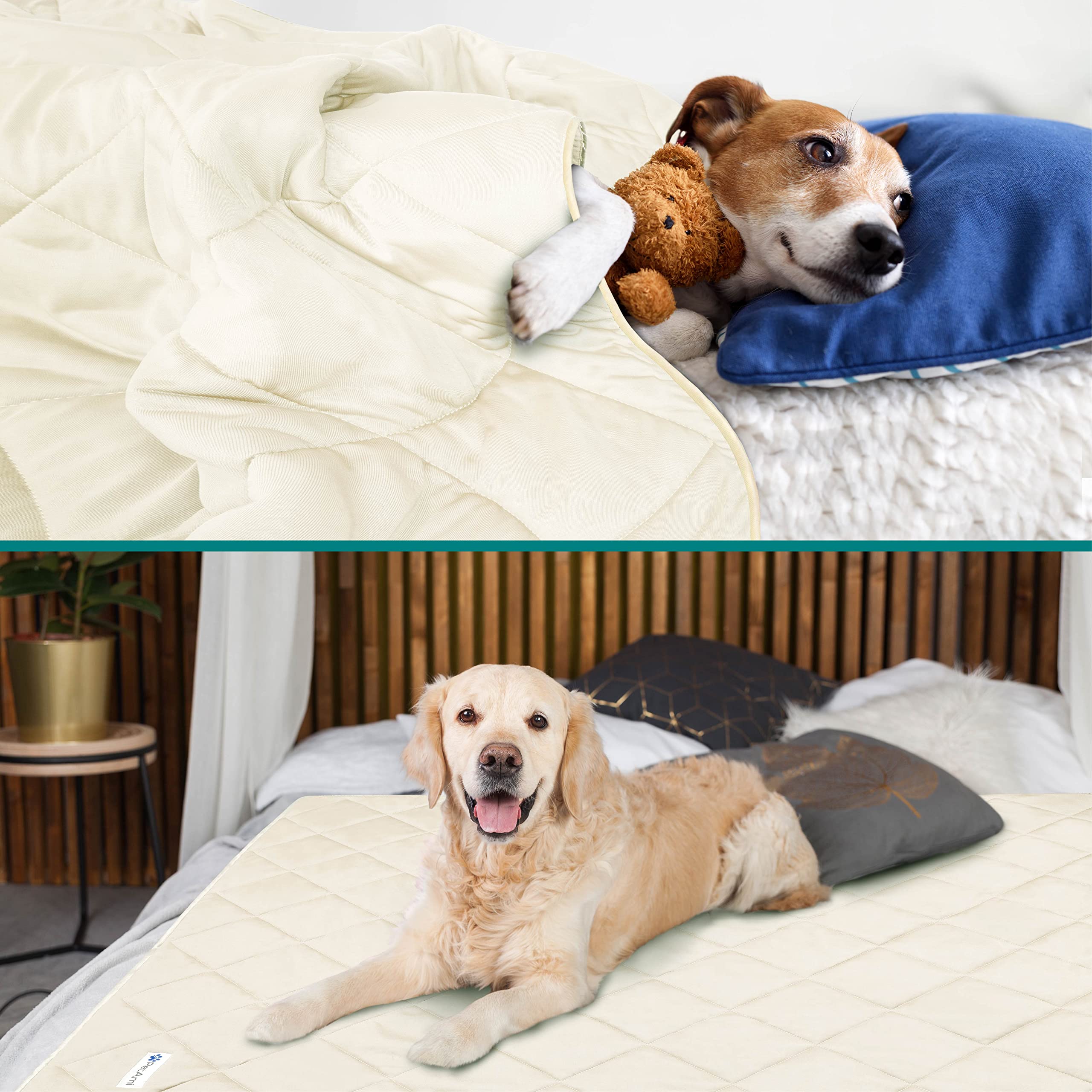 Petami Premium Cooling Dog Blanket | Lightweight Fluffy Pet Throw Blanket Bed Cover For Dogs, Cat, Puppies | Pet Blanket Furniture Protector Couch Sofa | Reversible Fuzzy Cozy | 29X40, Beige Latte