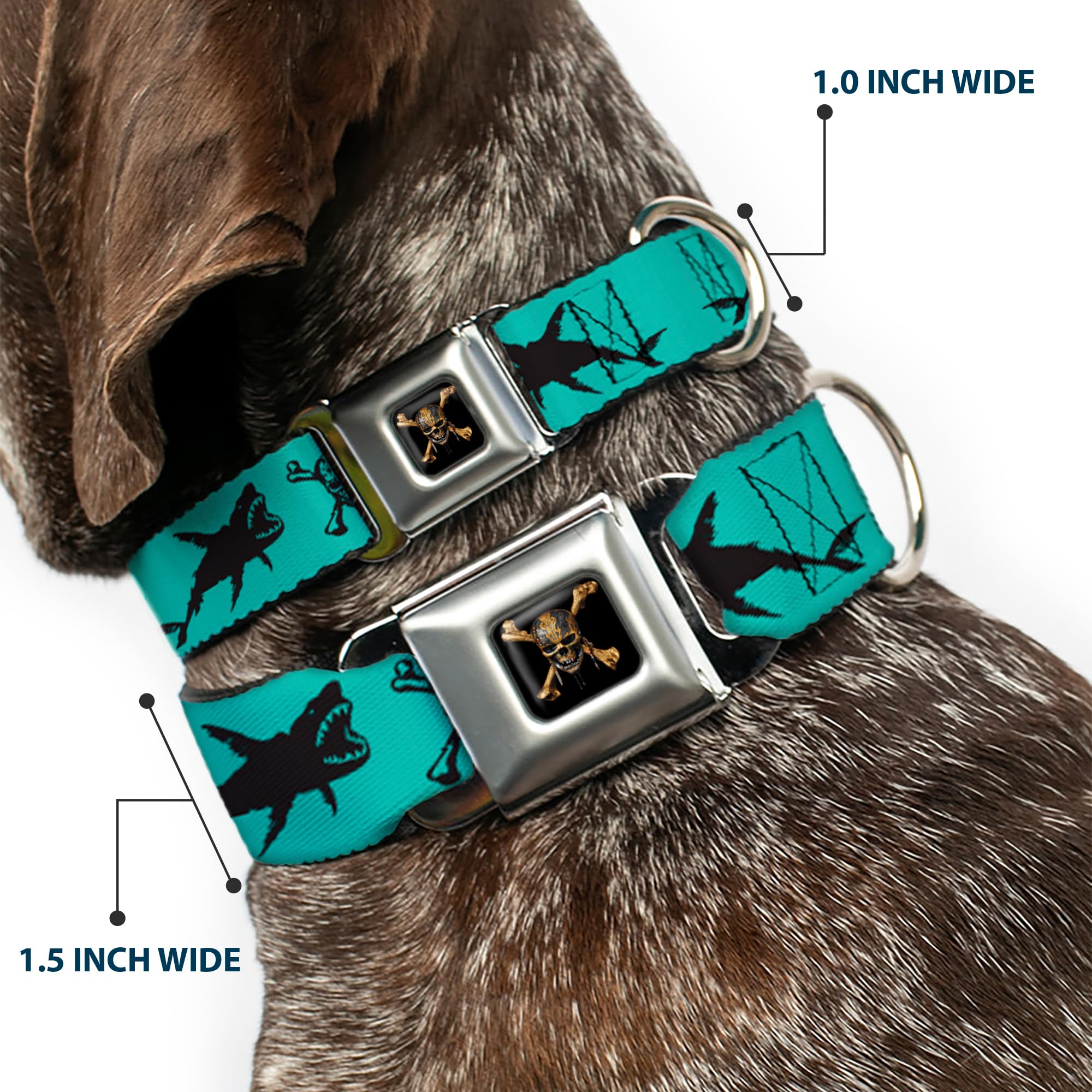 Buckle-Down Dog Collar Seatbelt Buckle Pirates Skull Crossbones Sharks Turquoise Black 15 To 26 Inches 1.0 Inch Wide, Multicolor (Dc-Wdy391-L)