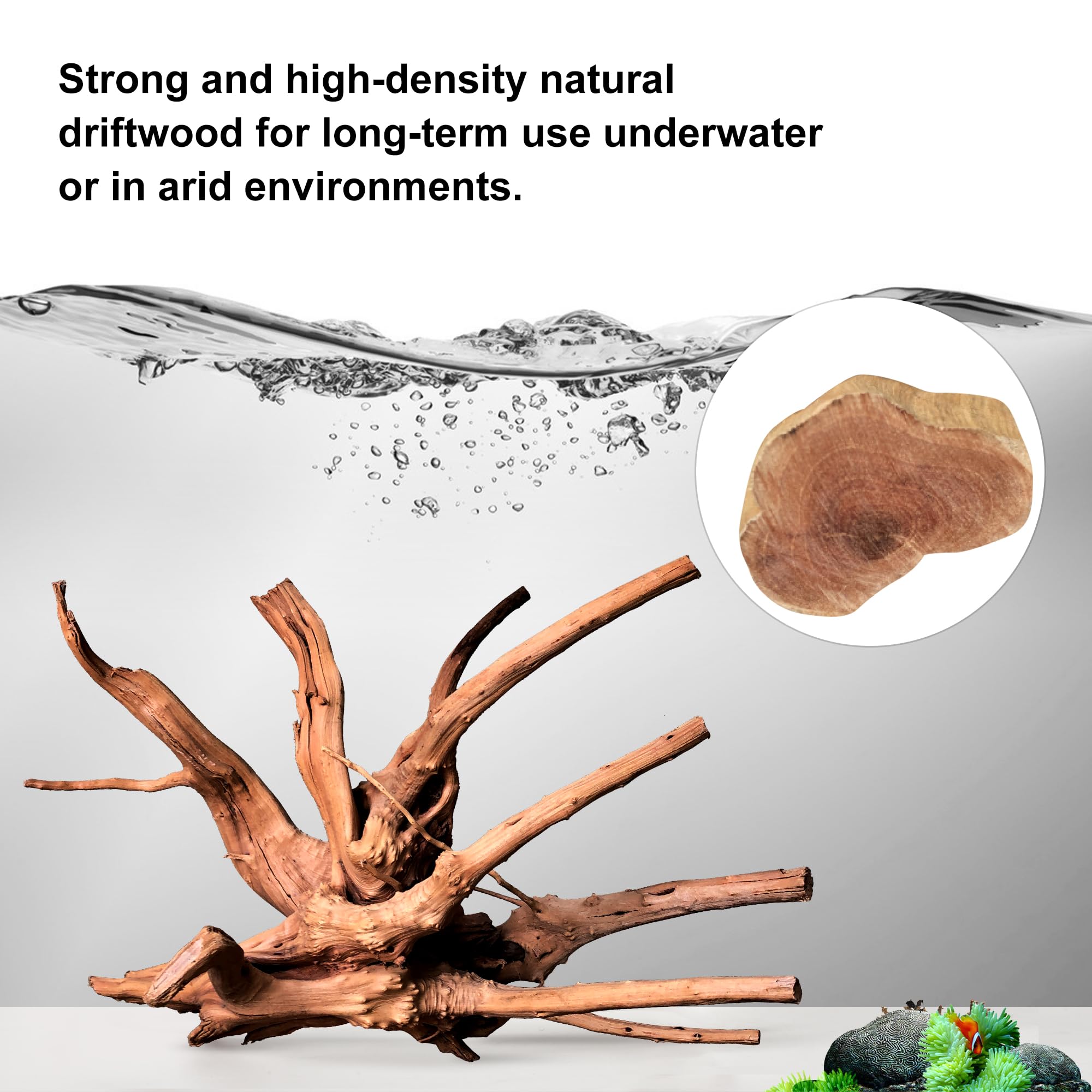 majoywoo Natural Small Driftwood for Aquarium Decor Fish Tank Decorations, Assorted Spider Wood Branch 2-4.5 10 Pcs, Reptile Dec