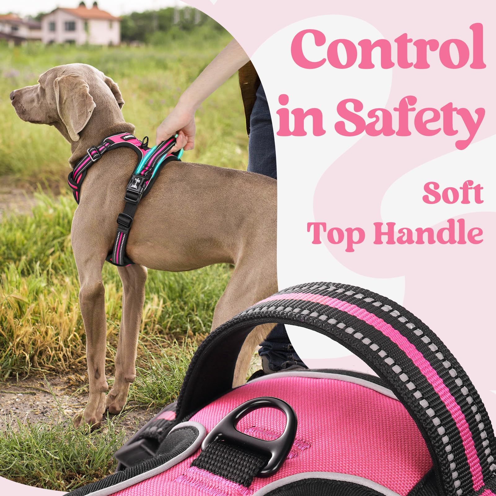 Rabbitgoo Dog Harness Small Sized, No Pull Pet Harness With 3 Buckles, Adjustable Soft Padded Pooch Vest With Instant Control Handle, Easy Walking Reflective Pet Vest For Small Dogs, Rose Pink, S