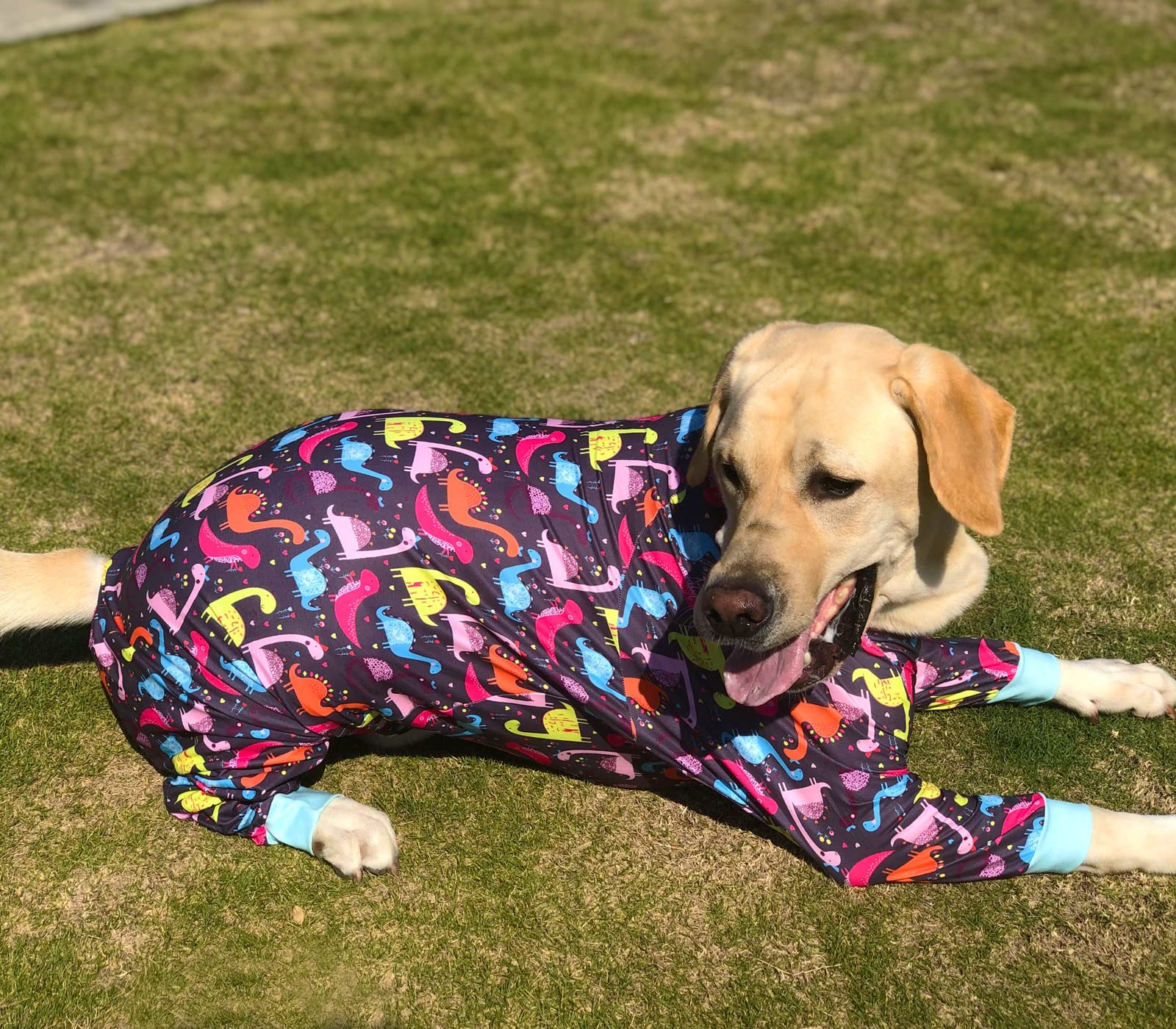 Pripre Dog Surgery Recovery Suit - Dinosaur Printed Long Sleeve Soft Pajamas Onesie Jumpsuit - Prevent Licking Shedding Suit For