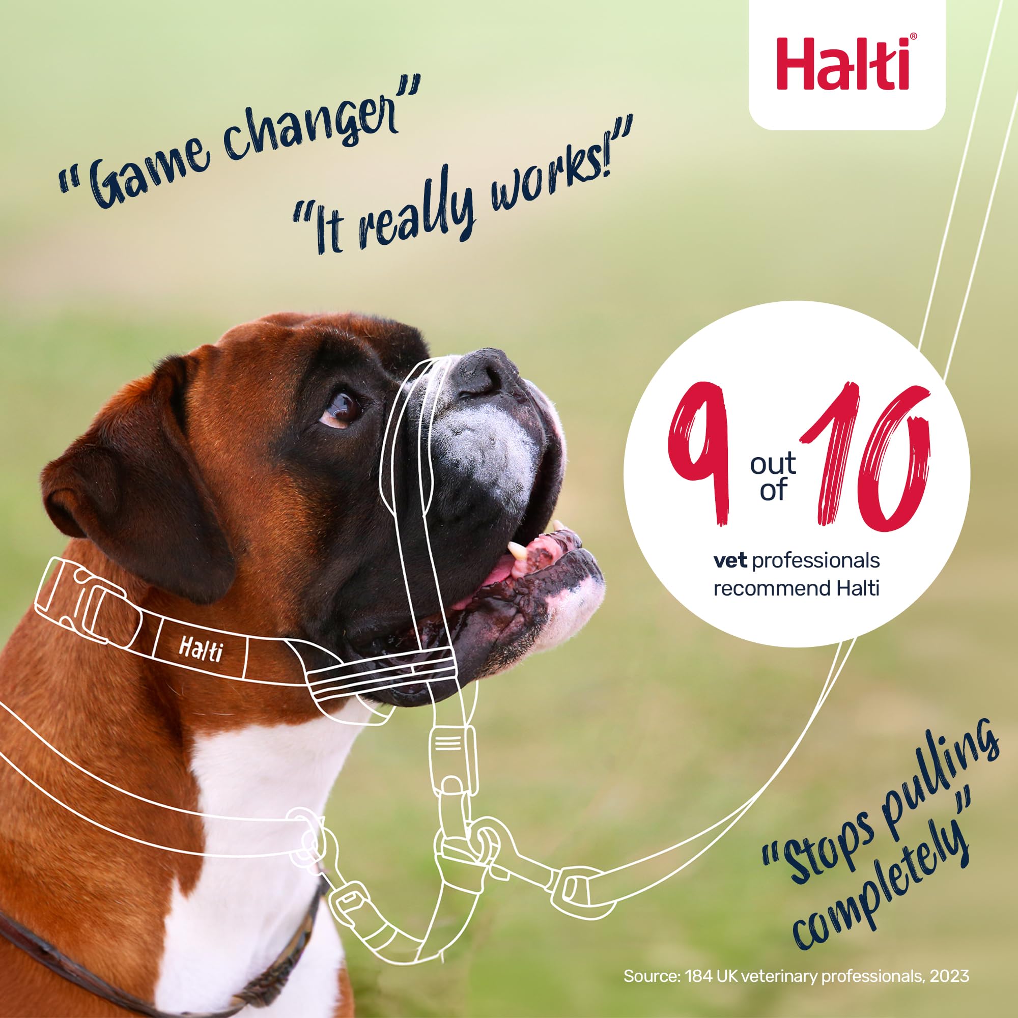 HALTI Optifit Headcollar Size Large & HALTI Training Leash Size Large, Black Combination Pack - Stop Your Dog Pulling on the Lea