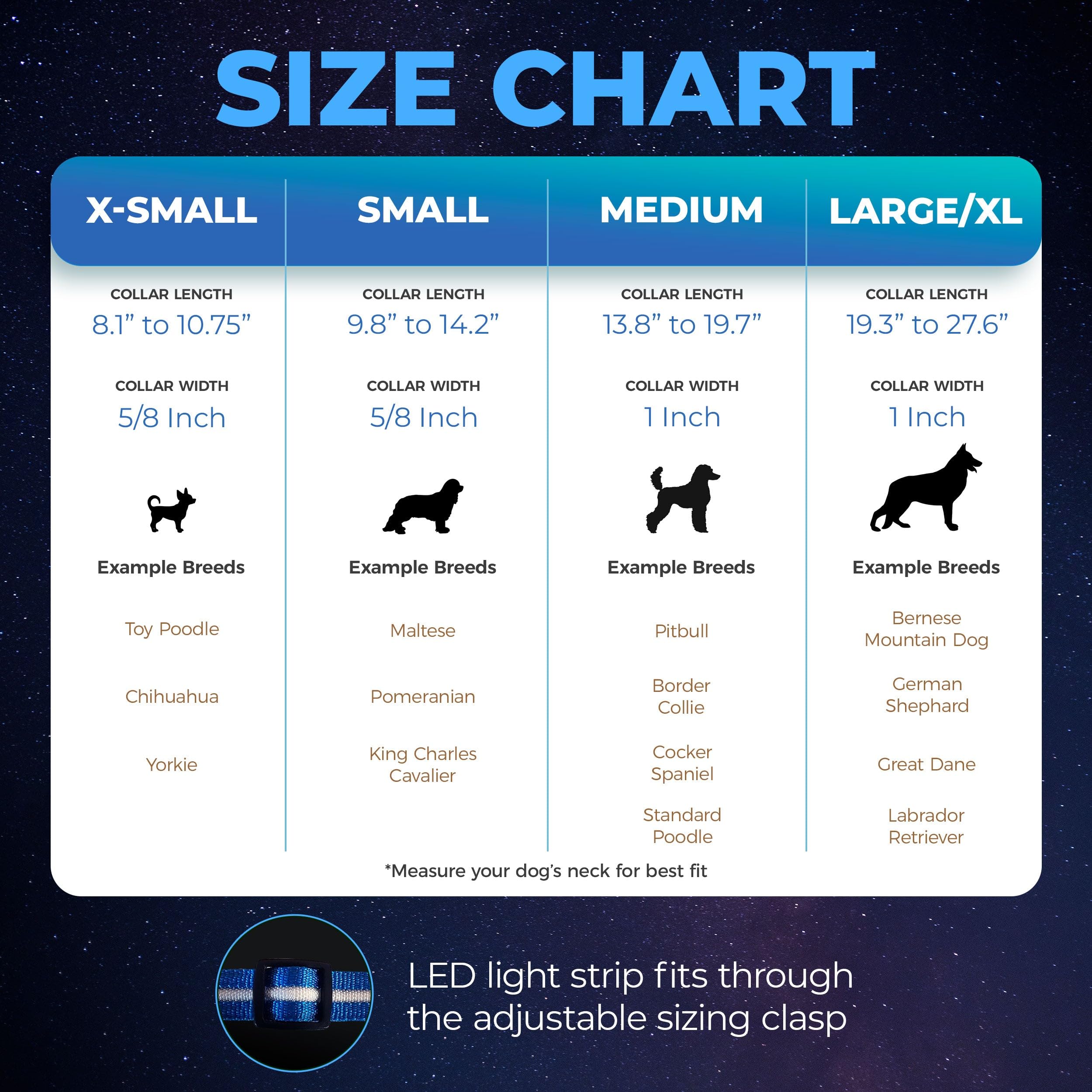 Blazin Light Up Dog Collar - The Original Led Dog Collar - Usb Rechargeable - Waterproof - 1,000 Feet Of Visibility - Dog Collar