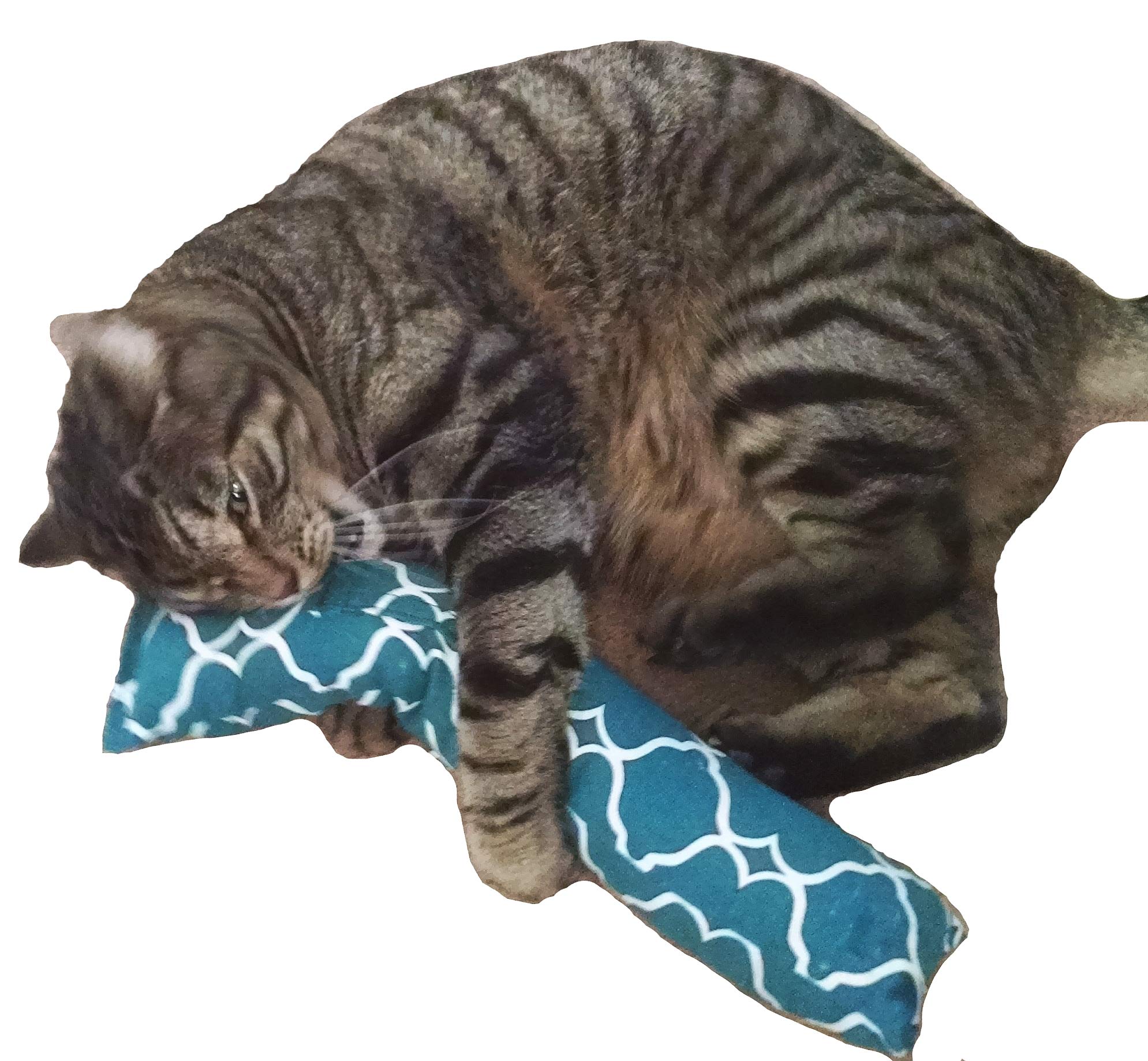 West Coast Pet Products 15'' Catnip Cat Kicker Toys/Kitty Kick Sticks/Cat-Nip Kick Sticks (Green) (Kickers Filled With 1 Oz Prem
