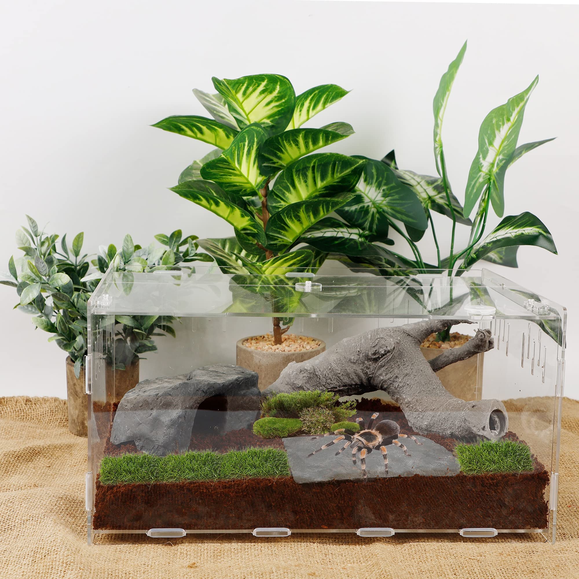winemana Reptile Terrarium, Tarantula Enclosure, 16'' x 11'' x 6'' Acrylic Large Feeding Tarantula Habitat Box for Small Animals