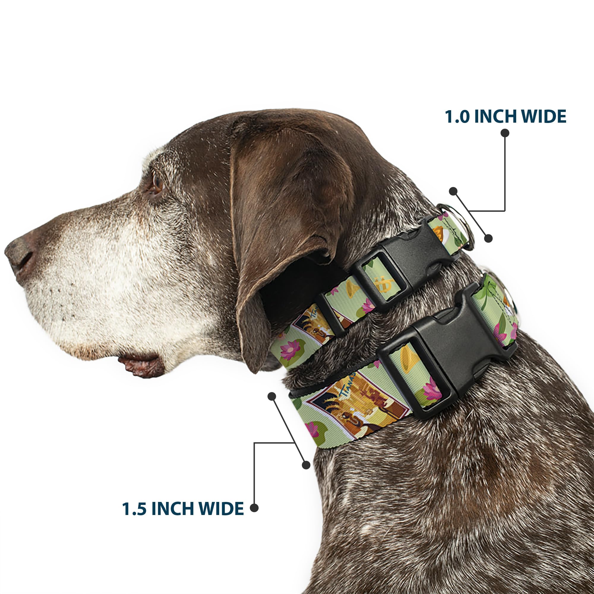 Disney Pet Collar, Dog Collar Plastic Buckle, The Princess And The Frog Tianas Place Collage Greens Pinks, 8.5 To 12 Inches 0.5