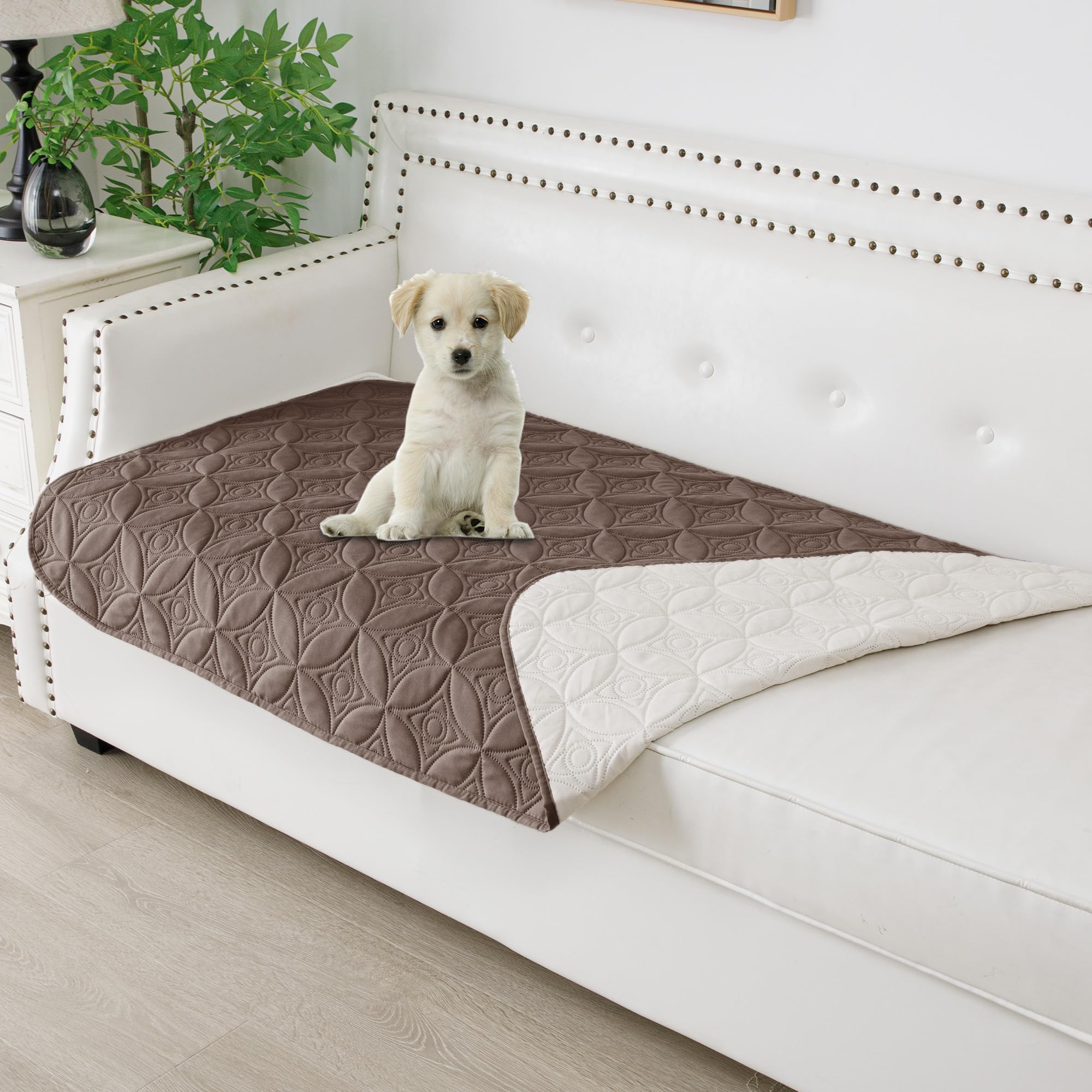 Tuffeel Waterproof Dog Blanket, 30x53 inches Small Pet Couch Covers for Sofa, Chair Bed Furniture Protector from Dogs Washable a