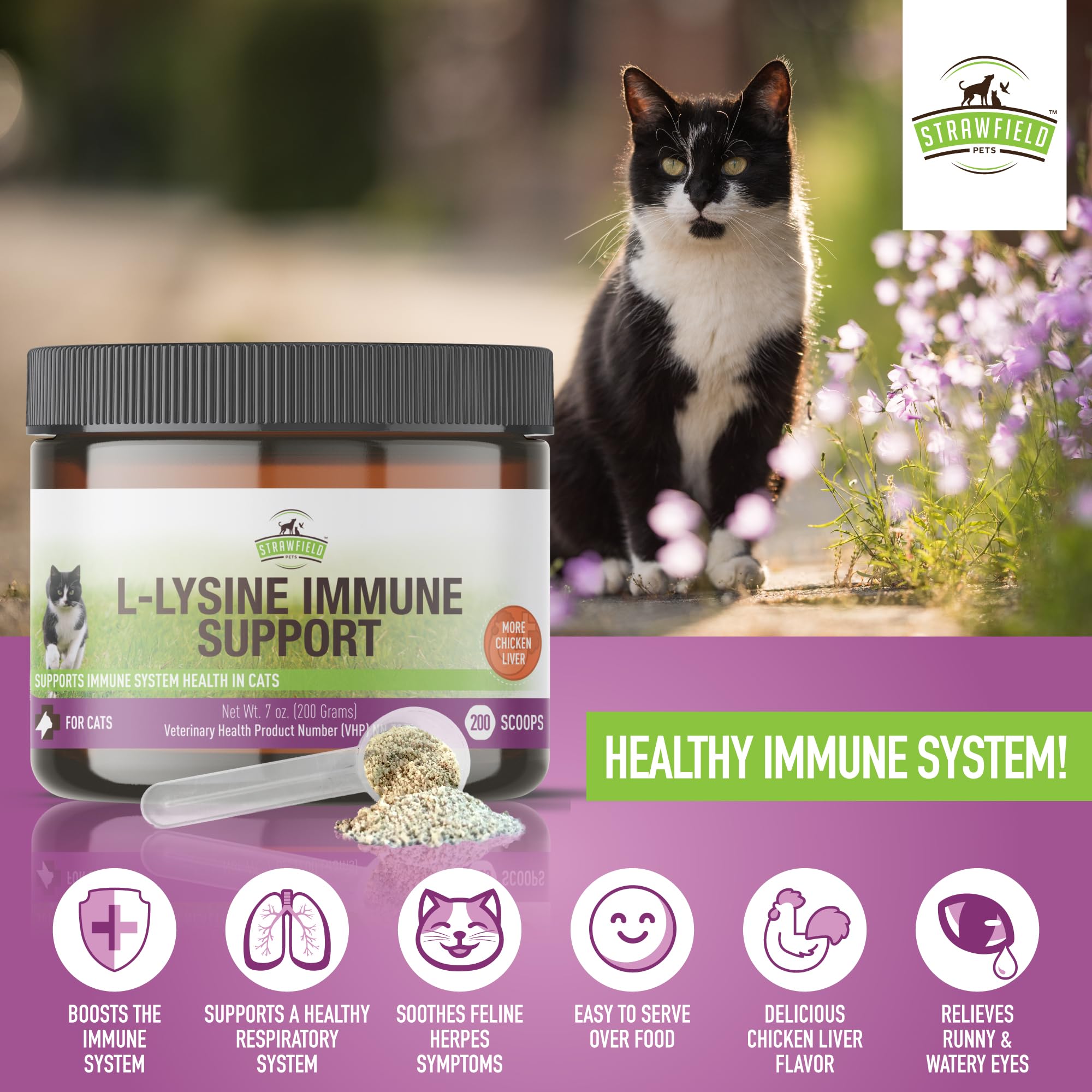 L-Lysine for Cats Supplement Powder Granules for Cat Cold, Sneezing, Congestion, Running Nose, Respiratory, Allergy Relief  Cats