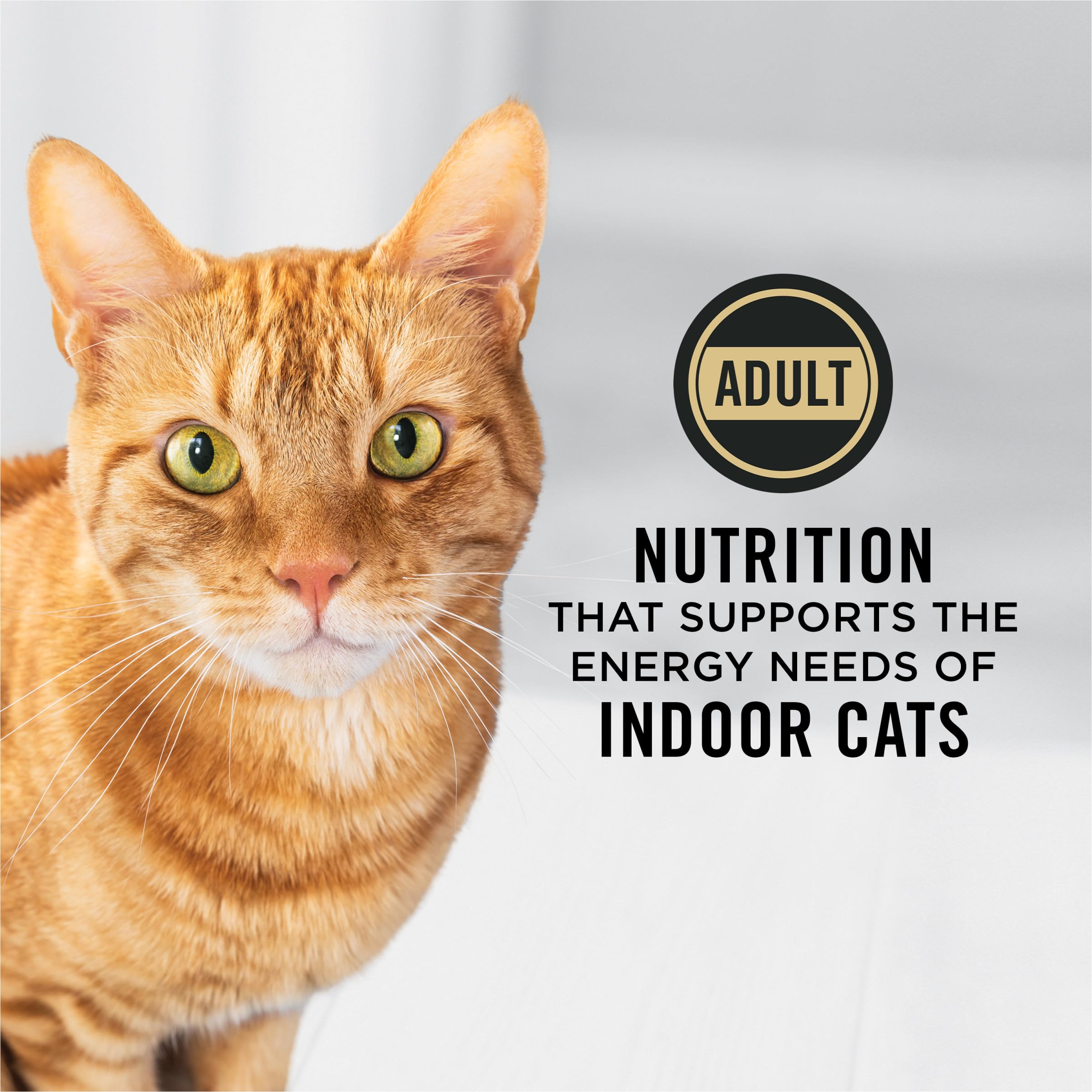 Purina Pro Plan Hairball Management, Indoor Cat Food, Turkey and Rice Formula - 7 lb. Bag
