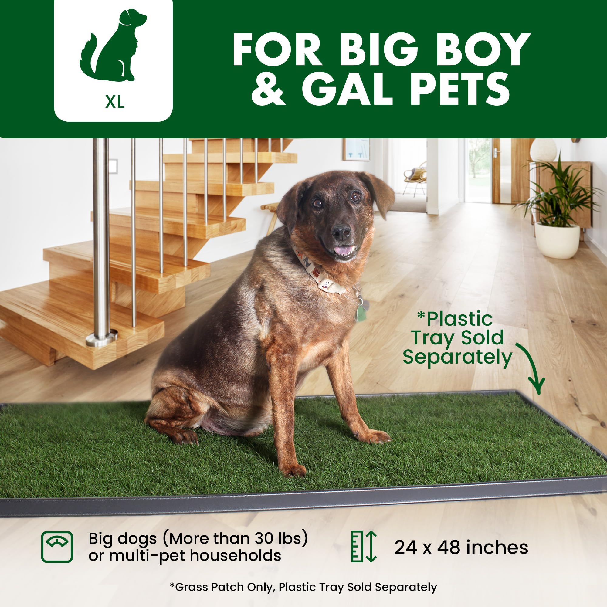 Fresh Patch Real Grass Patch for Dogs & Cats, XL Hydroponic Grass, Green, 24"x48", Disposable Indoor/Outdoor Pee Pads
