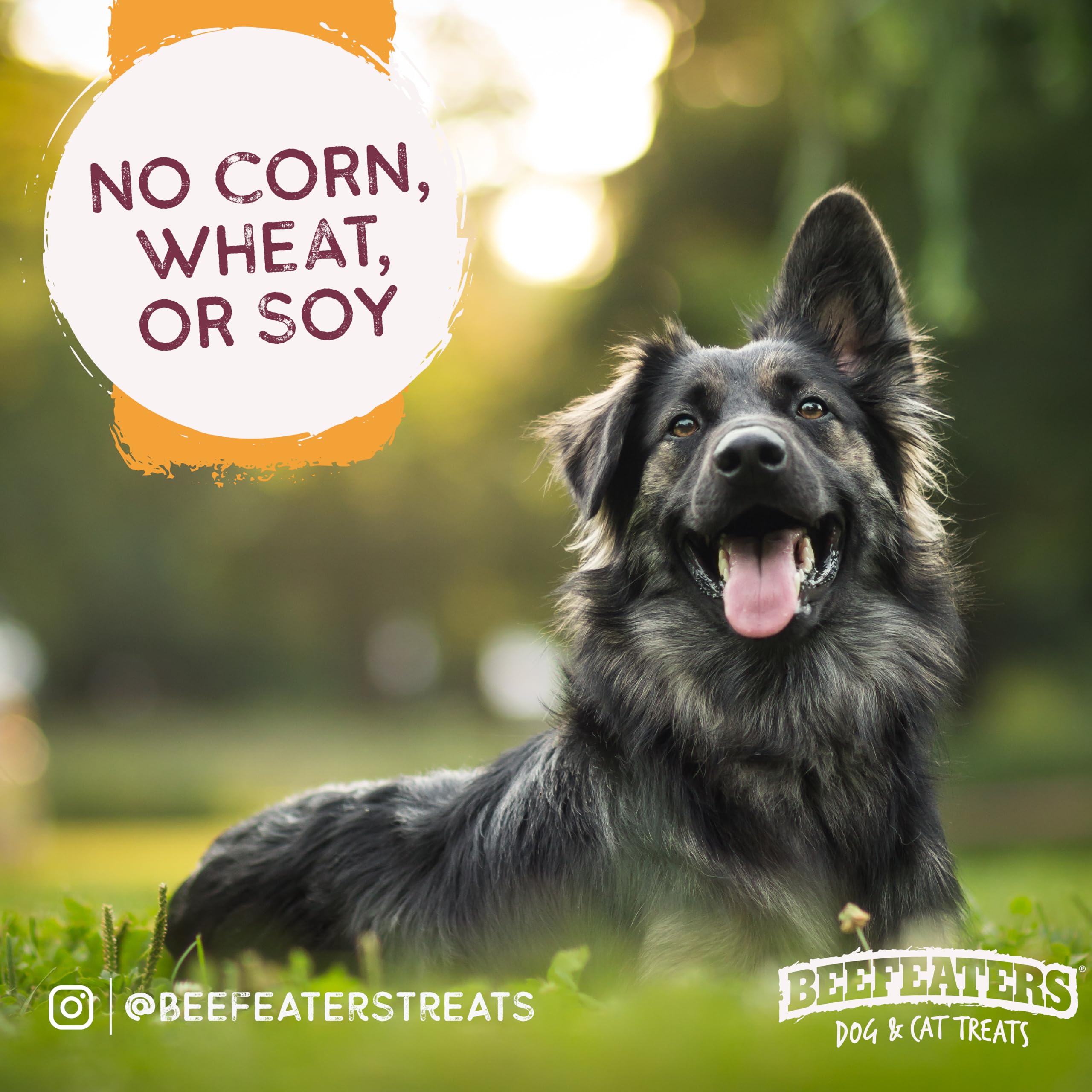 Beefeaters Sweet Potato Wrap with Chicken 40oz - Dog Treat. No Corn, Wheat, Soy or Gluten, Low Fat, Whole Muscle Jerky, Ideal fo