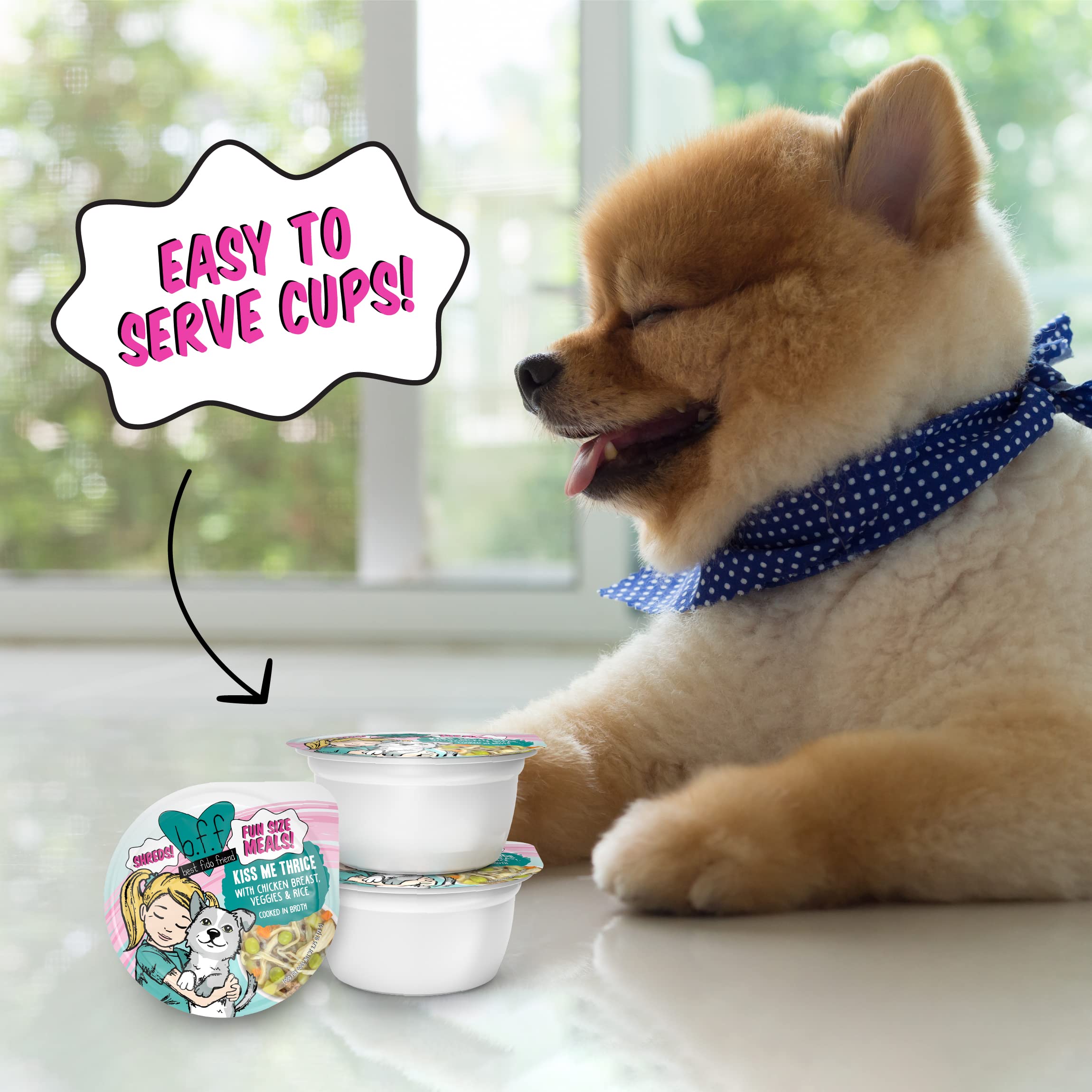 Weruva Best Fido Friend Fun Size Meals for Dogs, Kiss Me Thrice, 2.75oz Cup, Pack of 12