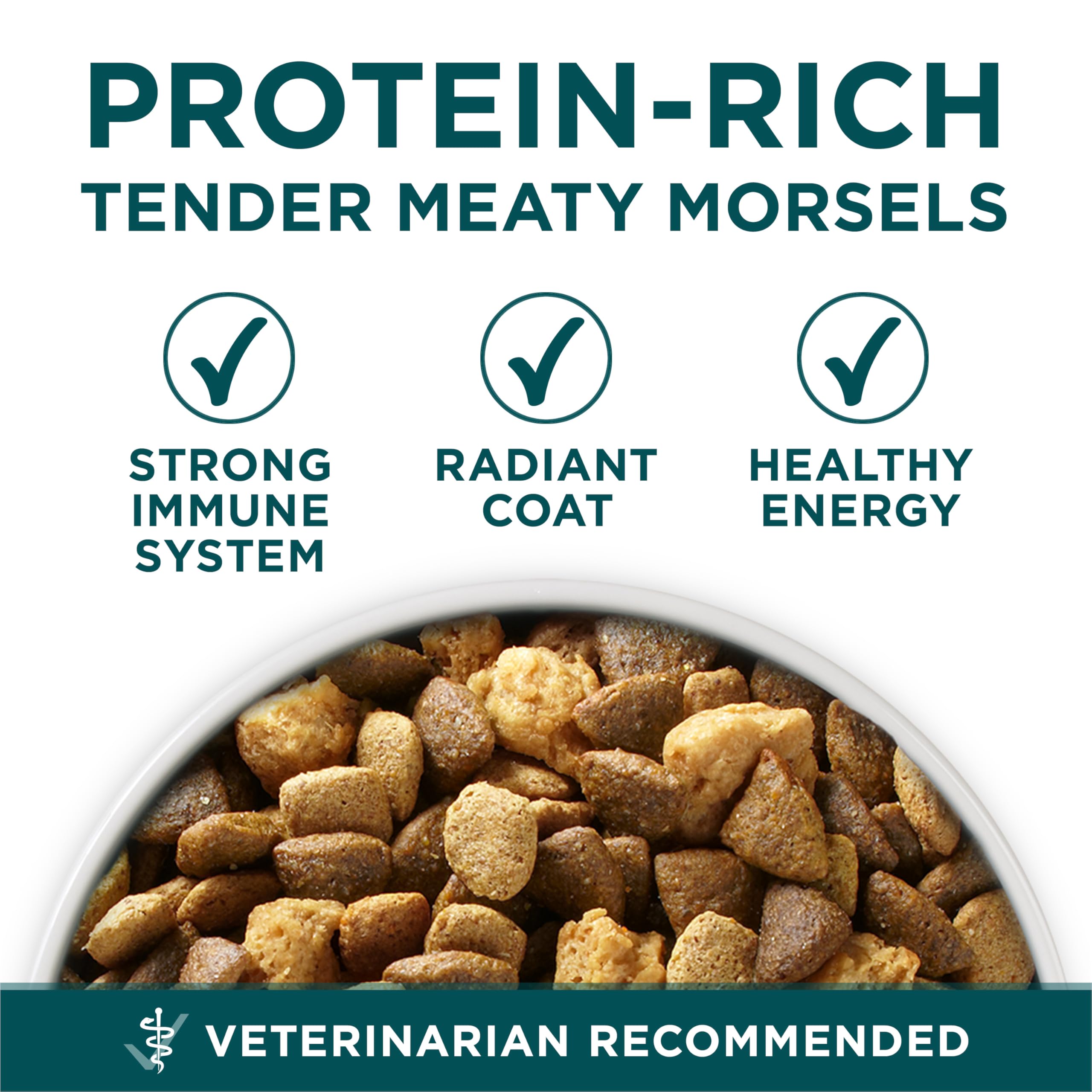 Purina ONE Plus Large Breed Puppy Food Dry Formula - 31.1 lb. Bag