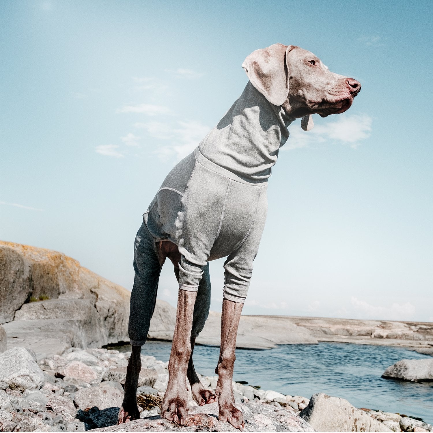Hurtta Body Warmer Dog Body Suit, Recovery Suit, Carbon Grey, 10M