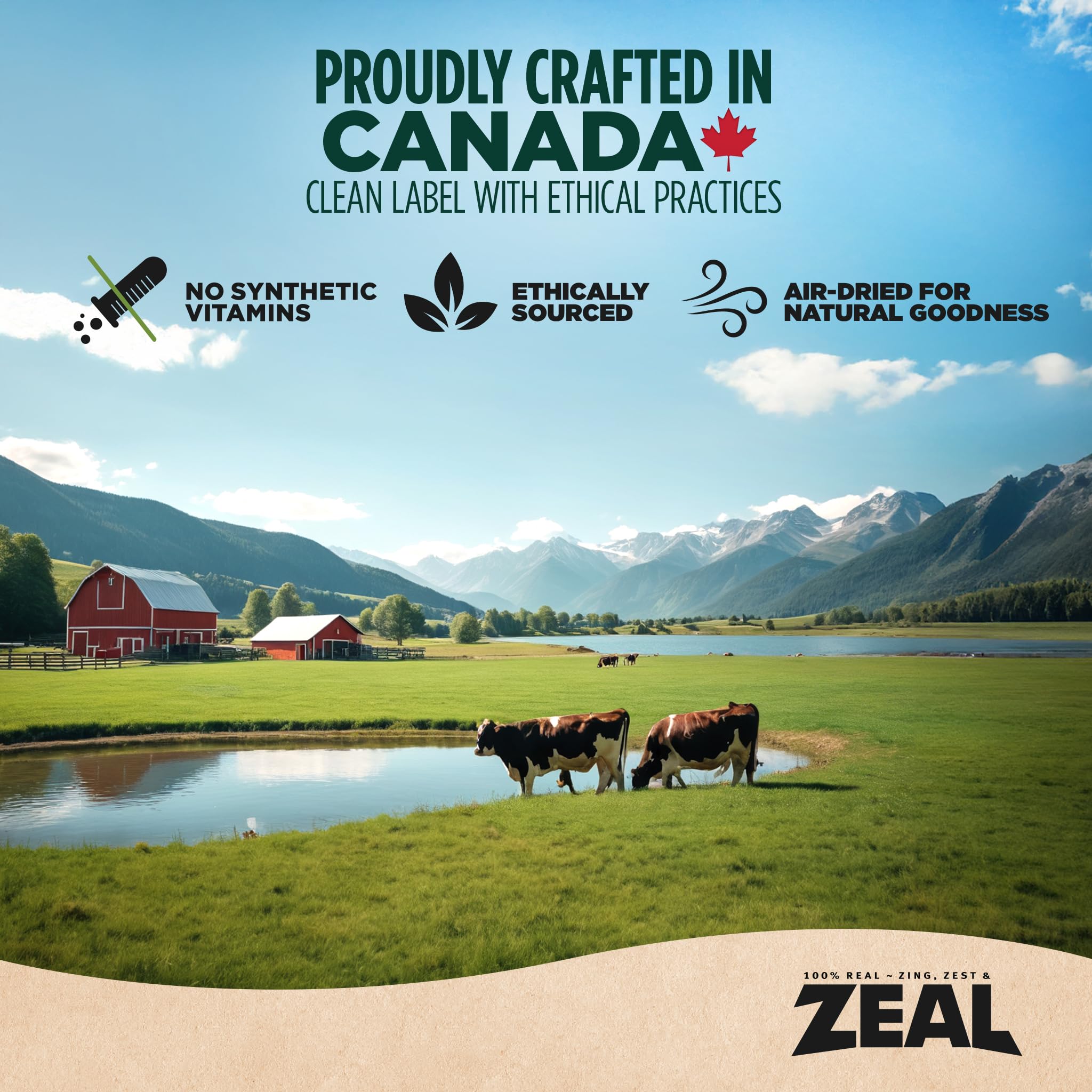 ZEAL Canada Air-Dried Beef Recipe for Dogs - High Protein, Natural Superfoods, Nutrient Rich, No Fillers, Grain Free, Complete &
