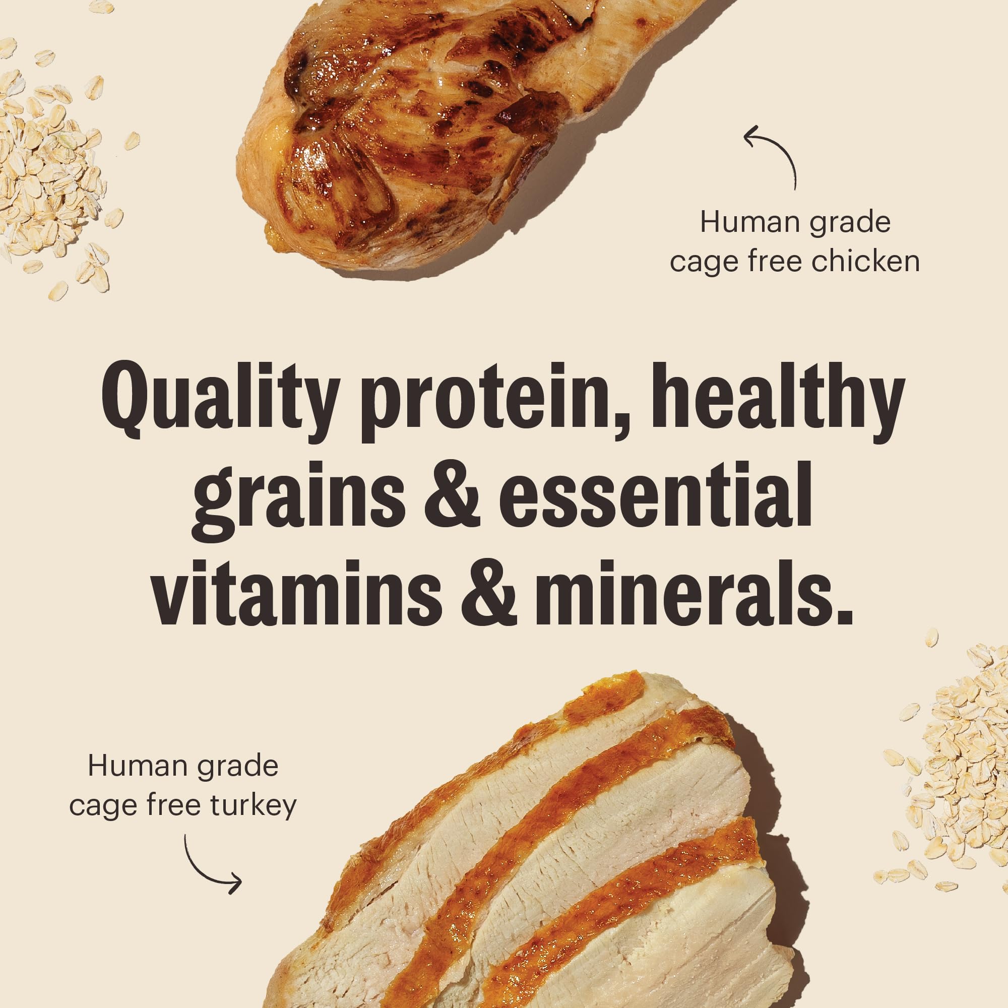 The Honest Kitchen Human Grade Essential Clusters Dry Dog Food, Whole Grain Turkey & Chicken 20 lb Bag