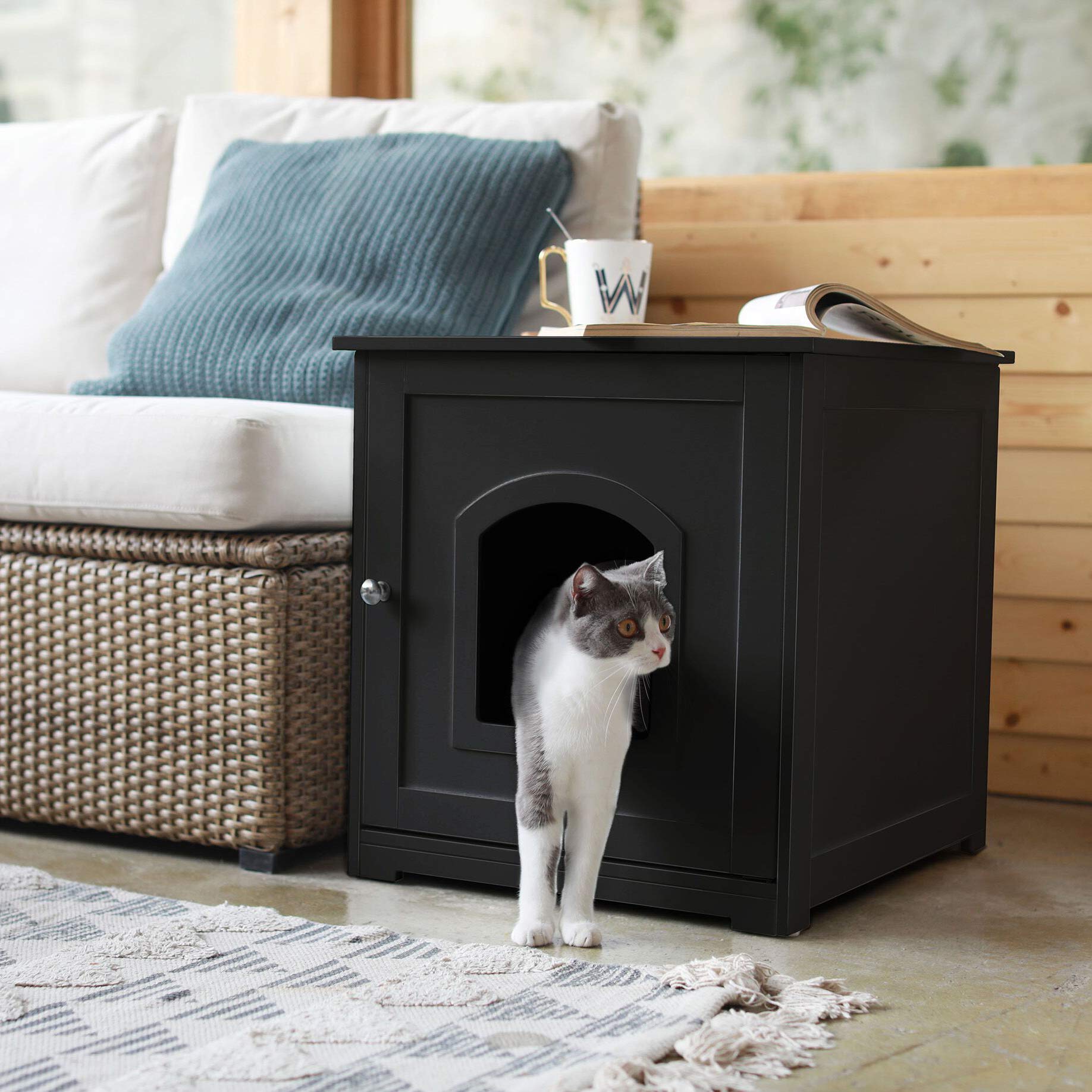 Kitty Litter Loo, Black