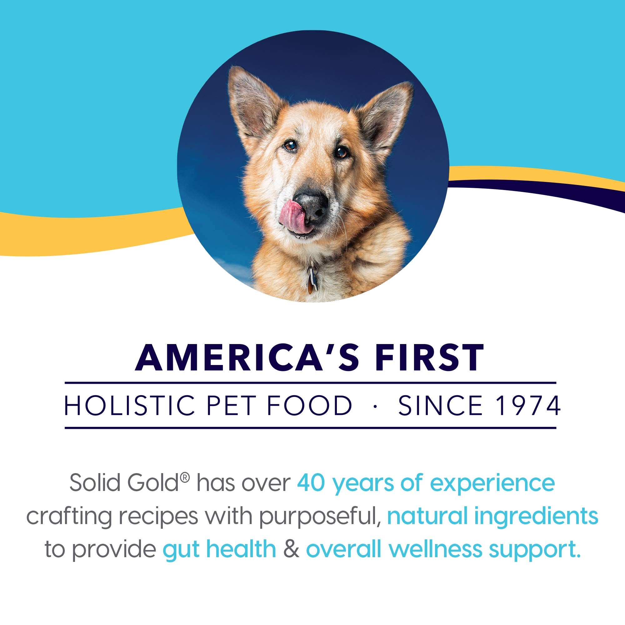 Solid Gold High Protein Wet Dog Food - Barking at The Moon Grain Free with Real Beef - 6Ct/13.2Oz Can