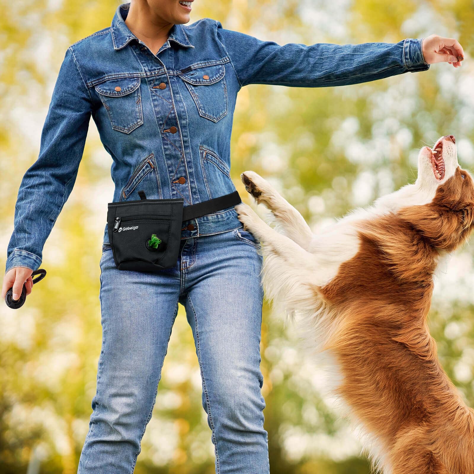 Gobeigo?Silicone Insert Bag Version?Dog Treat Pouch and Training Clicker, 2 Pair Magnetic Closure, 2 Cup Walking Fanny Pack with