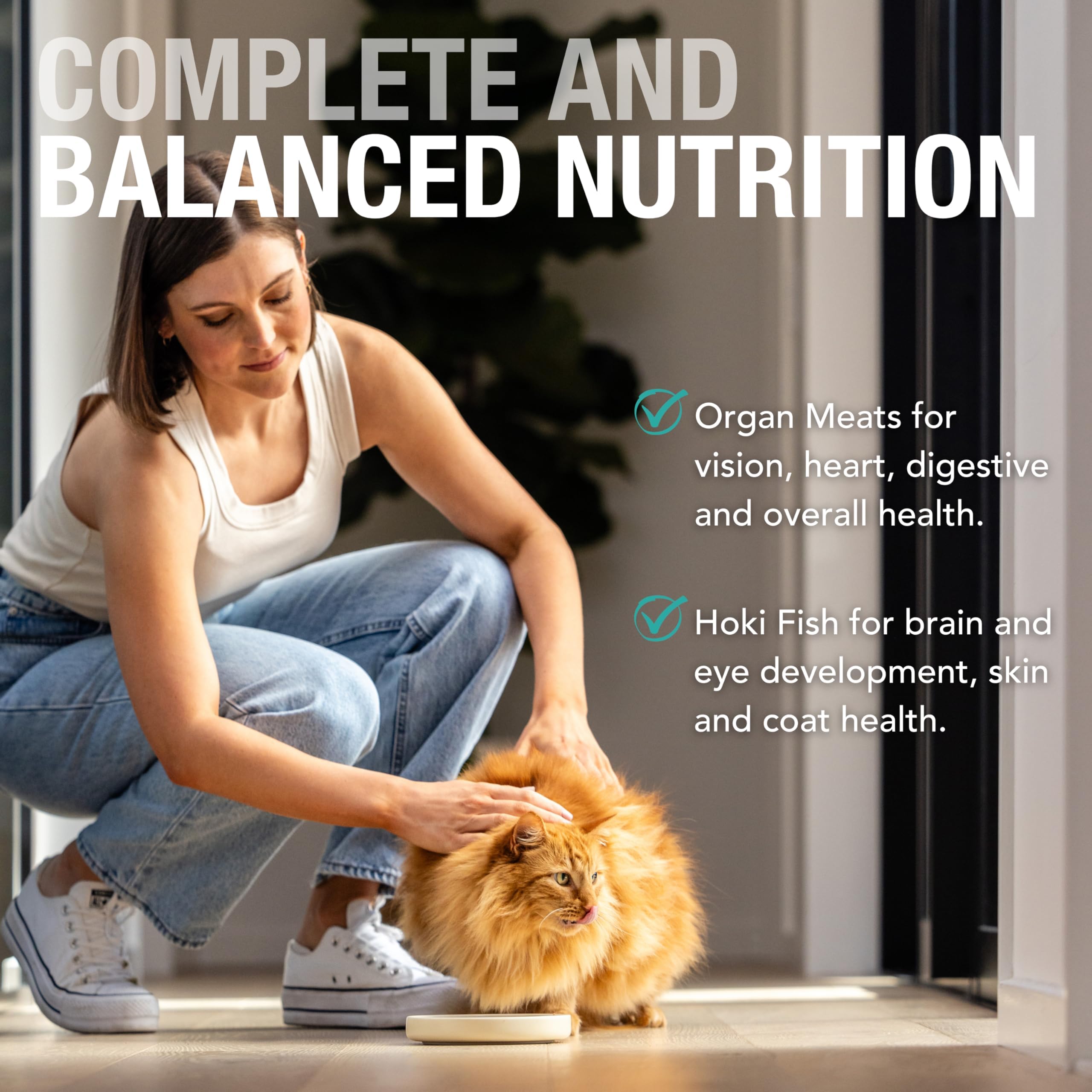 Feline Natural - BPA-Free & Gelatin Free Canned Cat Food - Beef & Hoki, 3oz (Pack of 24)