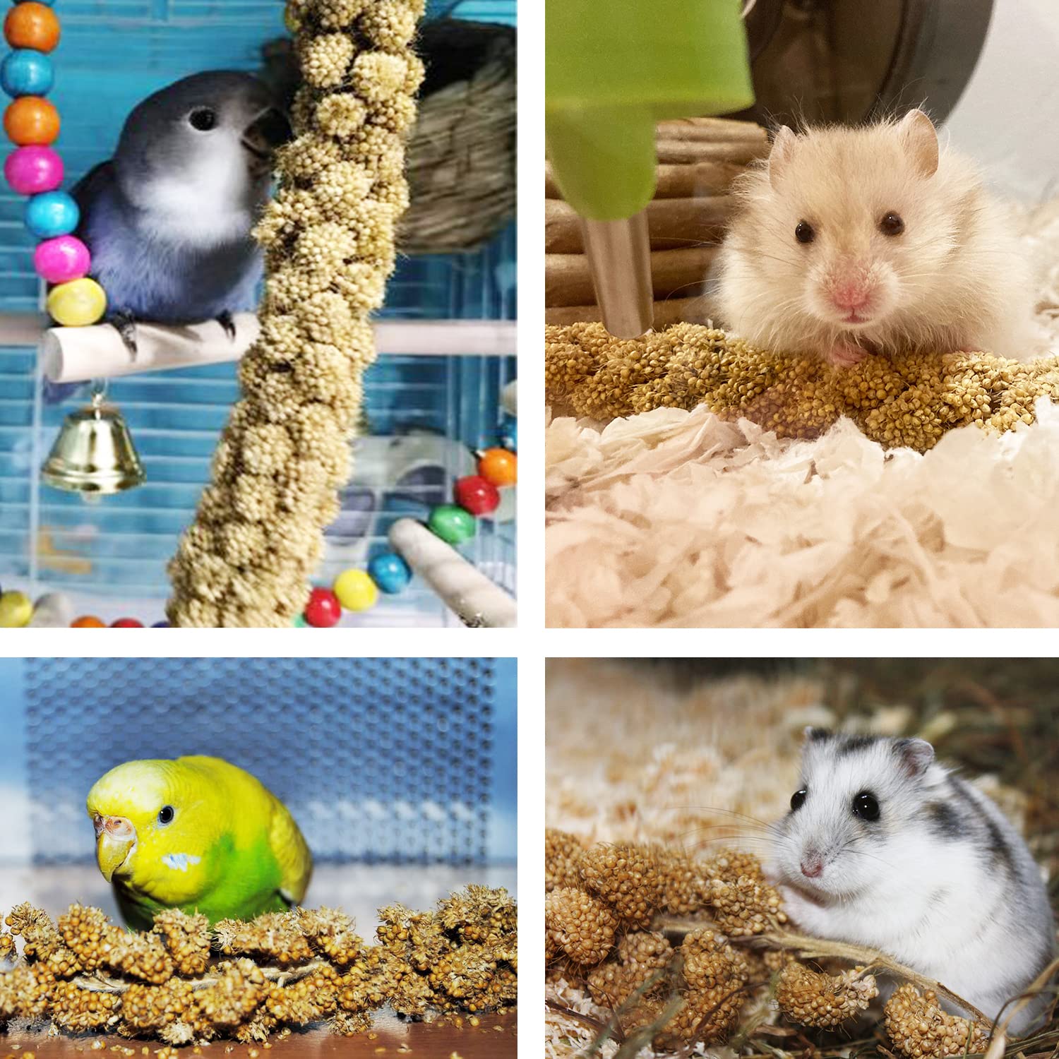 Jmxus 2LB Spray Millet Treat for Birds Parakeets, Natural Sun-Dried Birds Millet for Cockatiel, Finches, Parrots, Hamster
