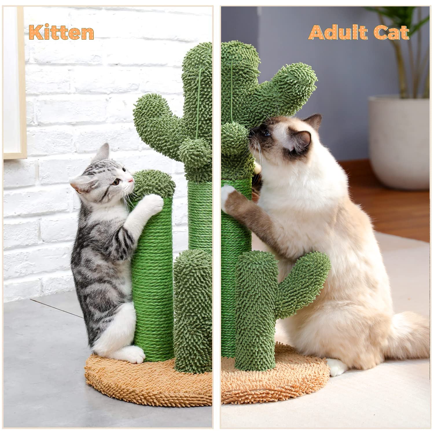 PAWZ Road Cat Scratching Post - Cactus Design with 3 Poles & Dangling Ball, Medium 23", Khaki, Engineered Wood, Model AM13-AMT0066BN