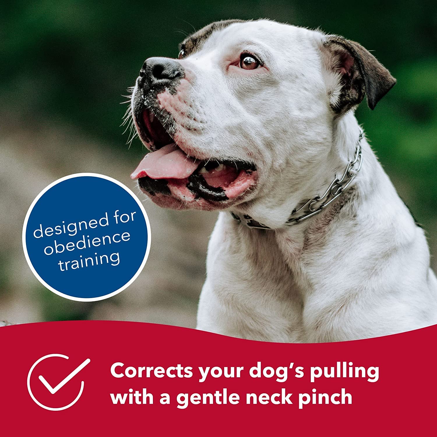 Herm Sprenger Ultra-Plus Prong Dog Training Collar, 3.0 Mm X 18' Neck Size, 3.0 Mm X 22' Chain Length, Steel Chrome Plated Dog Prong Collar, Pinch Collar For Dogs, Dog Correction Collar