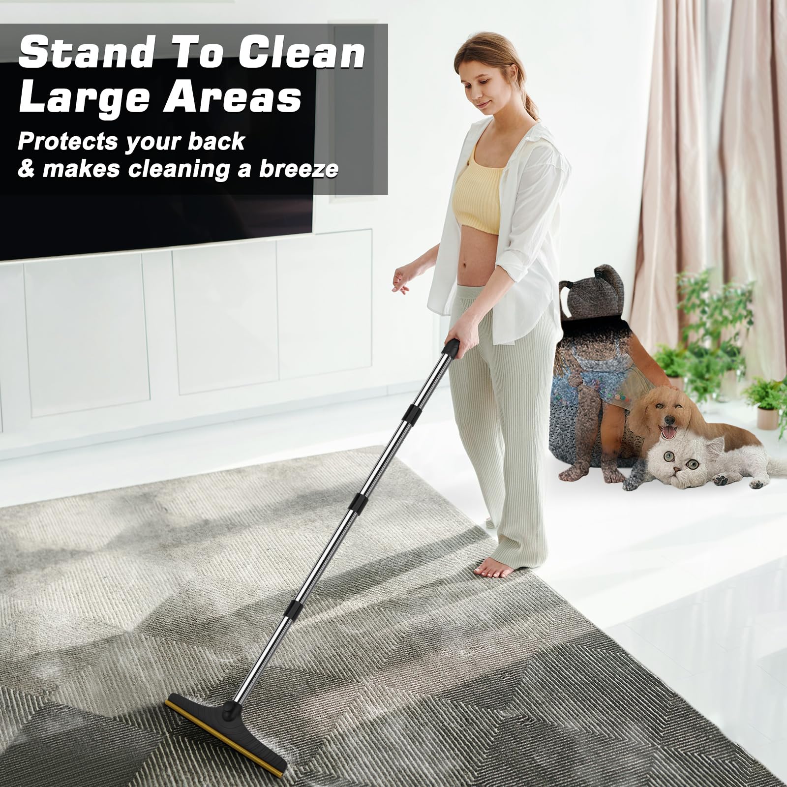B-Land Carpet Rake for Pet Hair Removal, Reusable Pet Hair Remover with 60    Adjustable Long Handle, Carpet Scraper Dog Cat Hai