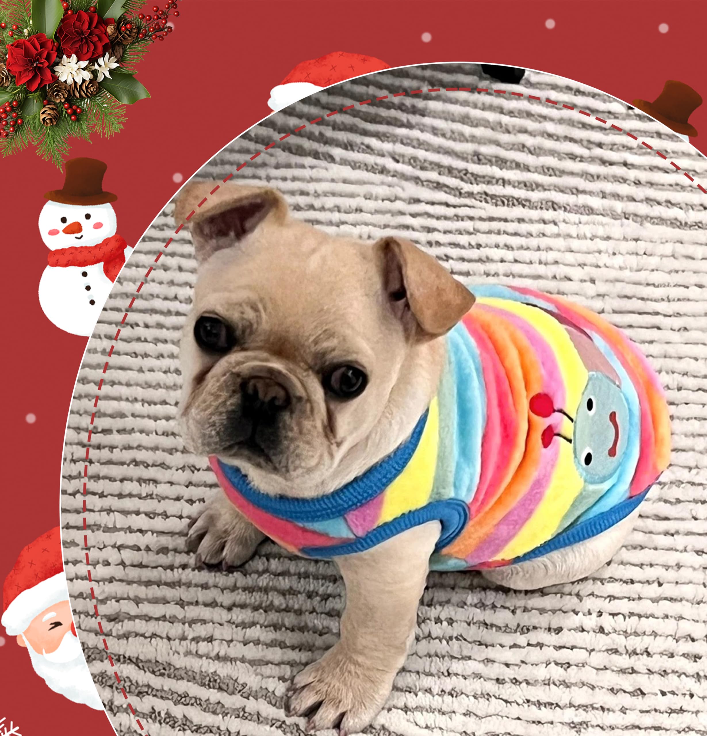 2 Pieces Chihuahua & Puppy Sweater - Cute Small & Extra Small Dog Sweater - Fleece Winter Dog Clothing