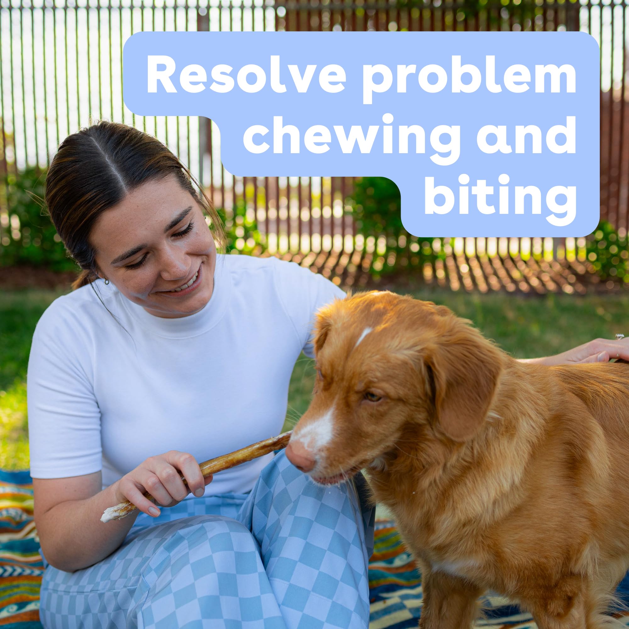 Pupford Thick Bully Sticks for Dogs & Puppies, Smoked for Improved Smell, Natural, Long-Lasting, Single Ingredient Chews for Sma