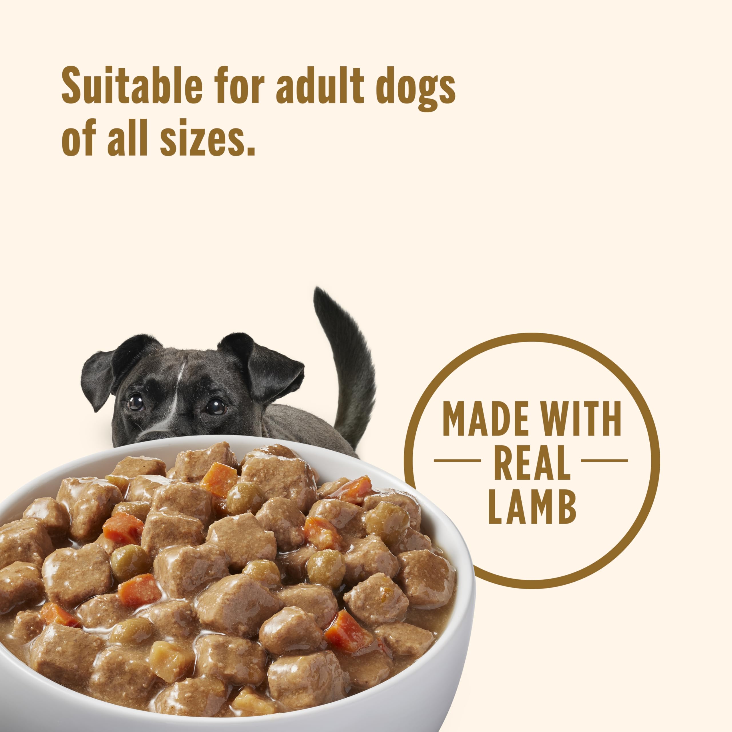 Nutrish Rachael Ray Chunks in Gravy Gentle Digestion Wet Dog Food, Real Lamb, Pumpkin & Chicken Recipe, 13 oz. Cans (Pack of 12)
