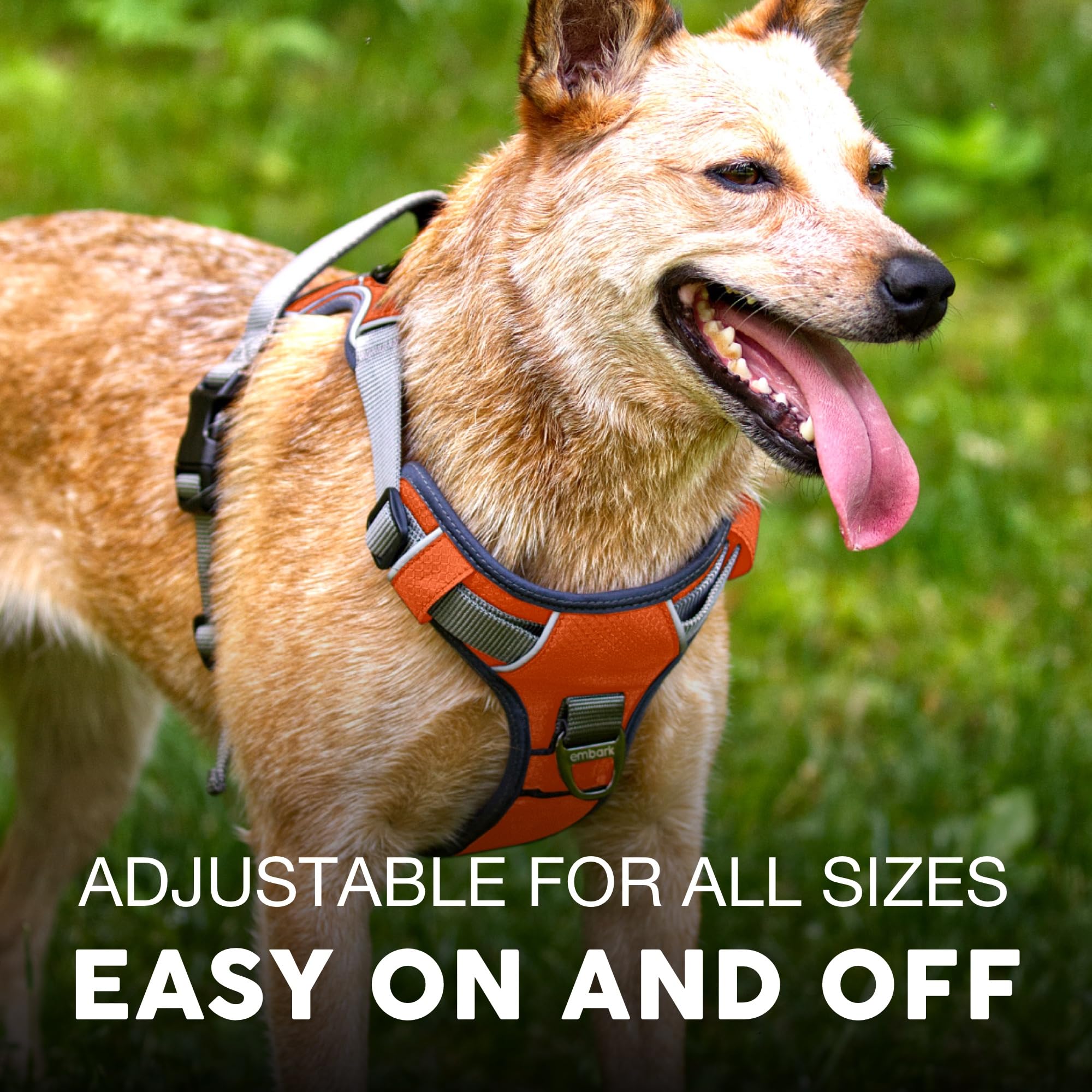 Embark Adventure Dog Harness, No Pull Dog Harness With 2 Leash Clips, Dog Harness For Medium Dogs No Pull. Front & Back With Con