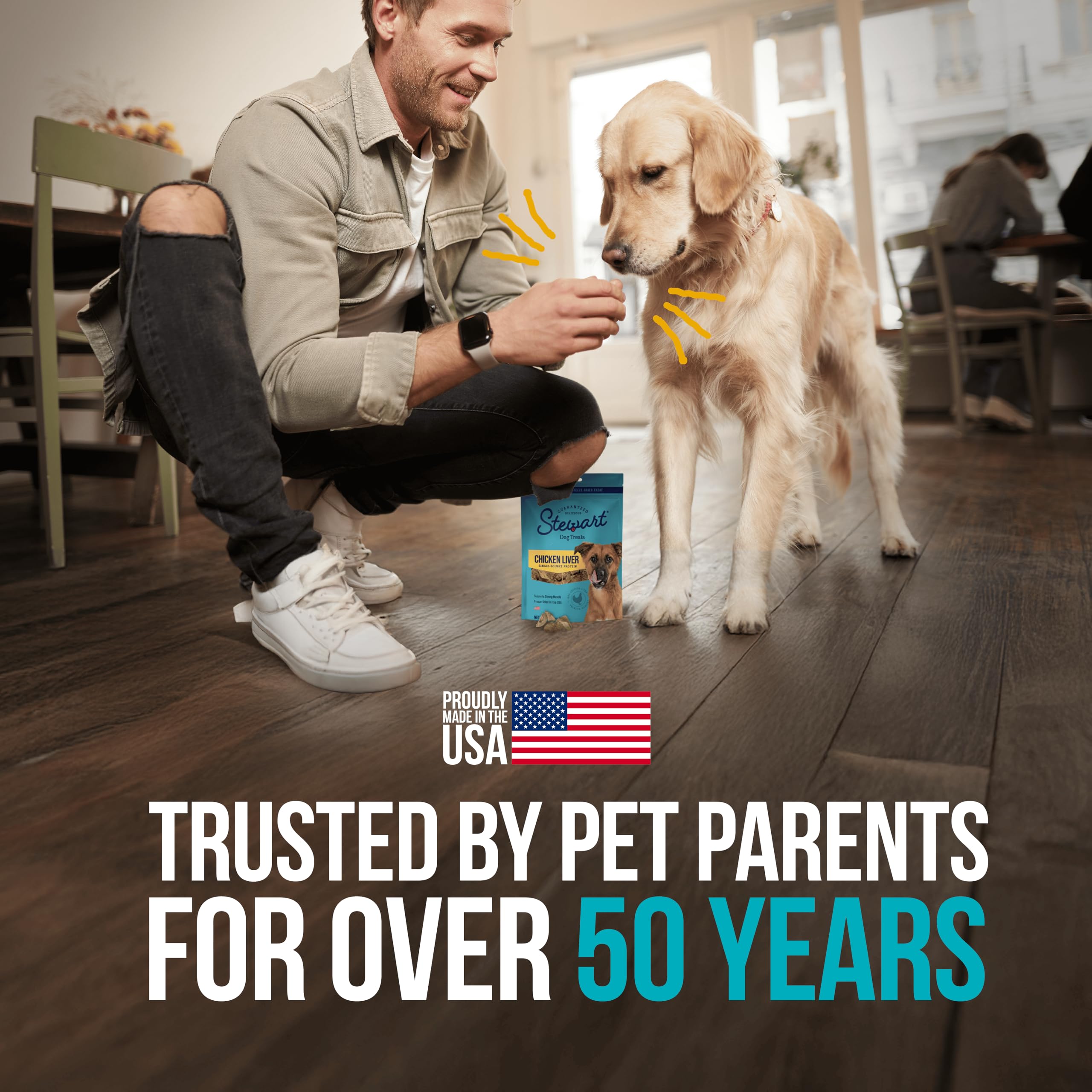 Stewart Single Ingredient Freeze Dried Raw Dog Treats, Chicken Liver, 2.5 Ounce Resealable Pouch, Training Treats or Meal Topper