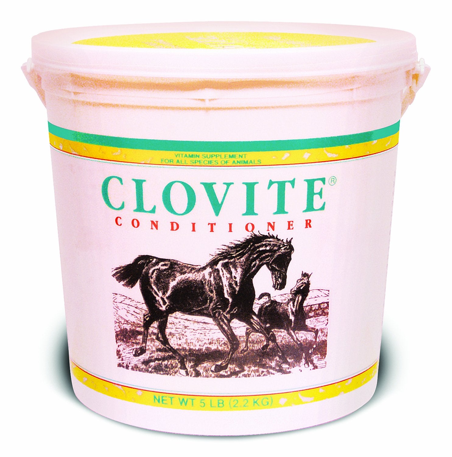 PFIZER EQUINE Clovite Vitamin Supplement