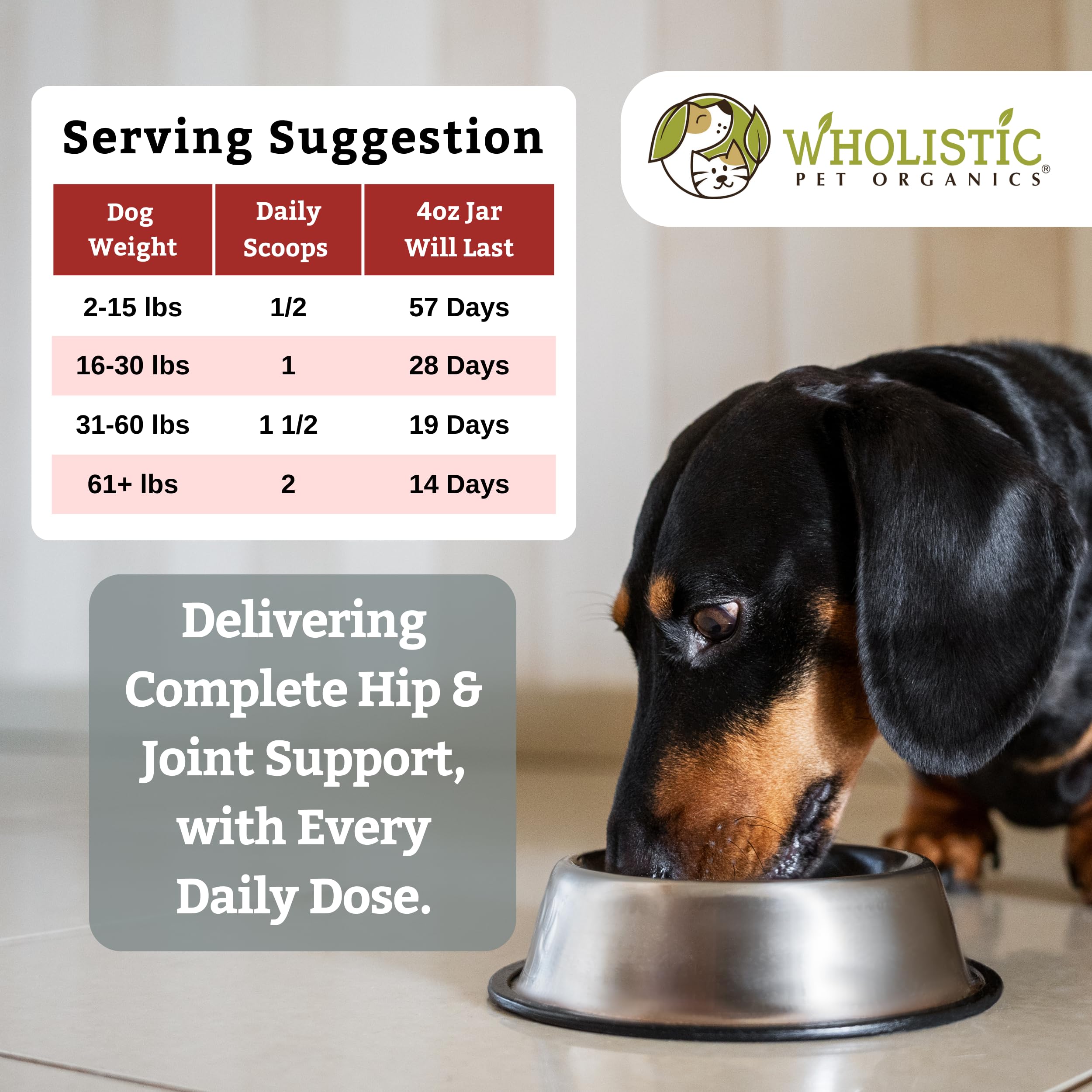 Wholistic Pet Organics Joint Supplement for Dogs - Glucosamine, Chondroitin & MSM - 4 Oz - Model Run Free - Supports Mobility for All Breeds